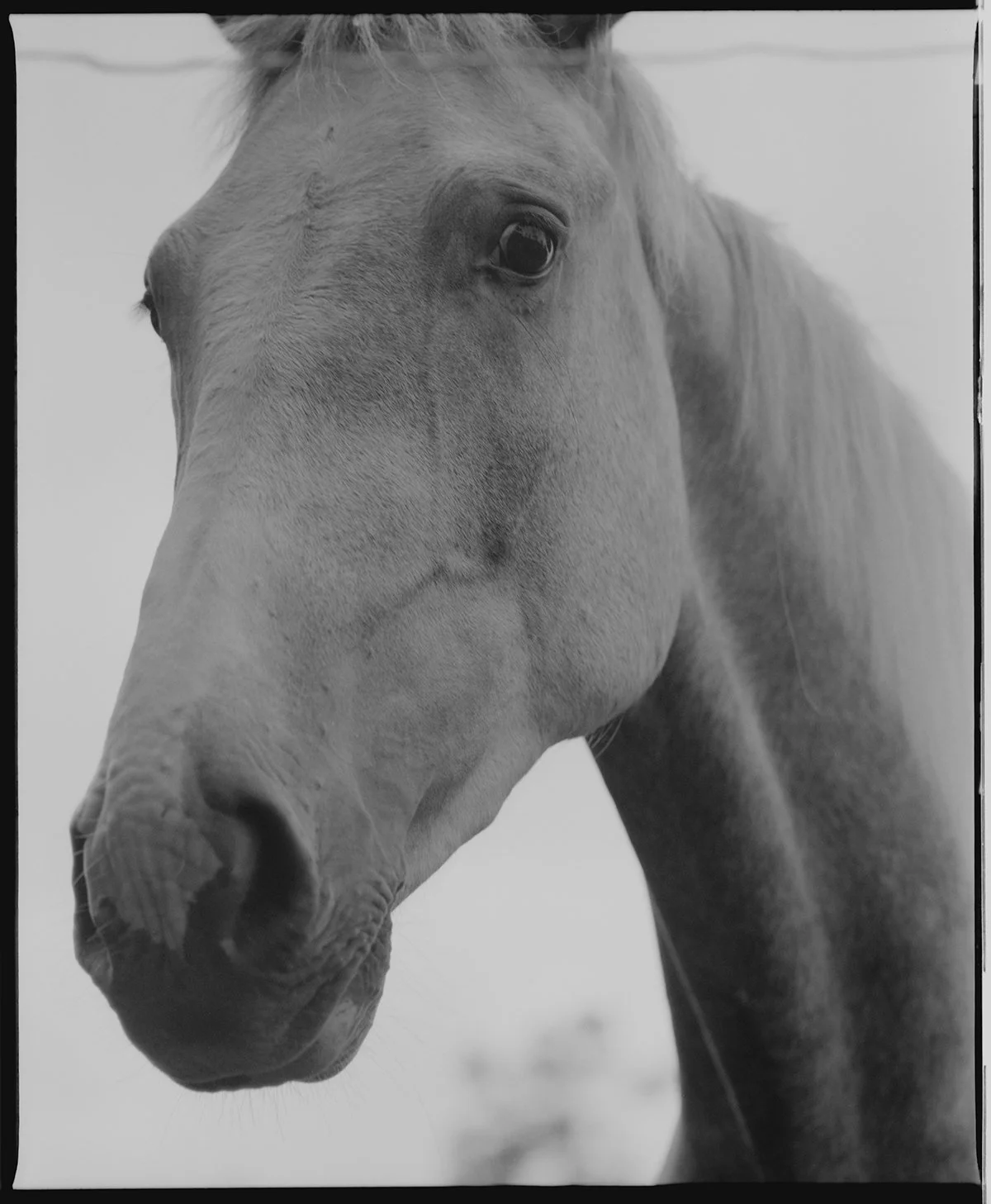 Ilford Delta 400 Pro_06-positive copy.jpg