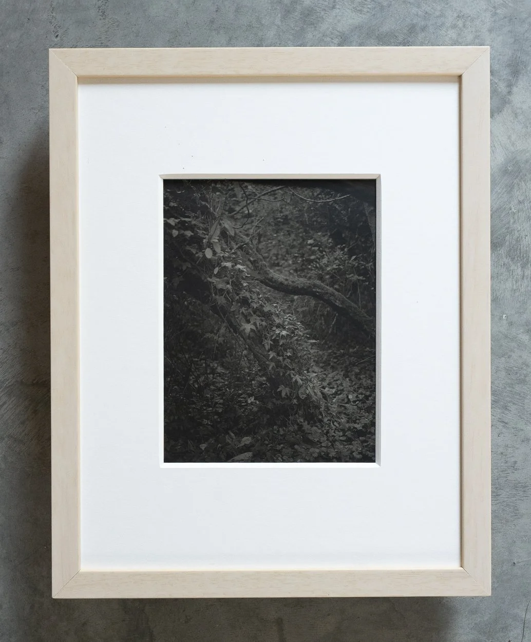 L1010342.jpg
