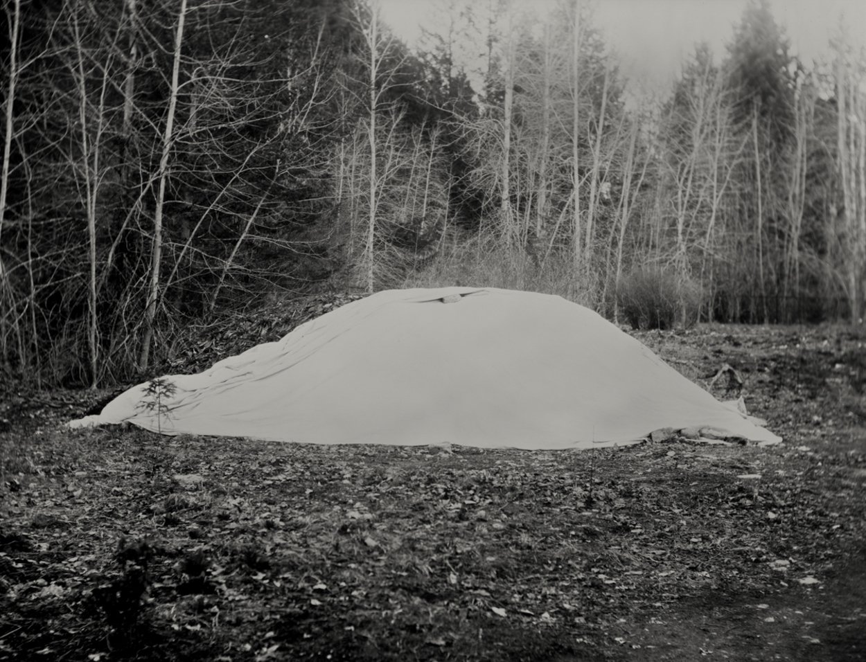 Tod Inlet No.1.jpg