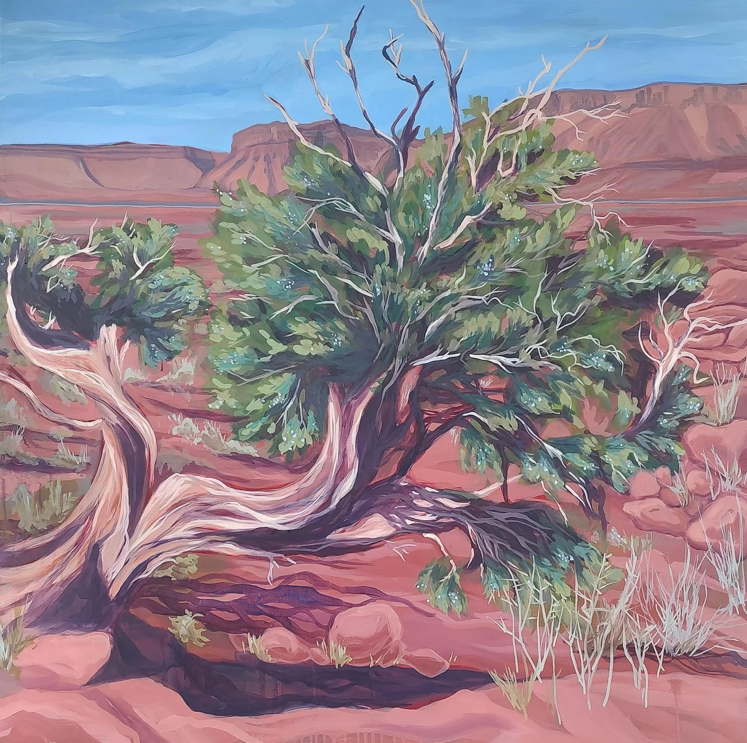 Juniper Tree   12×12”
$25