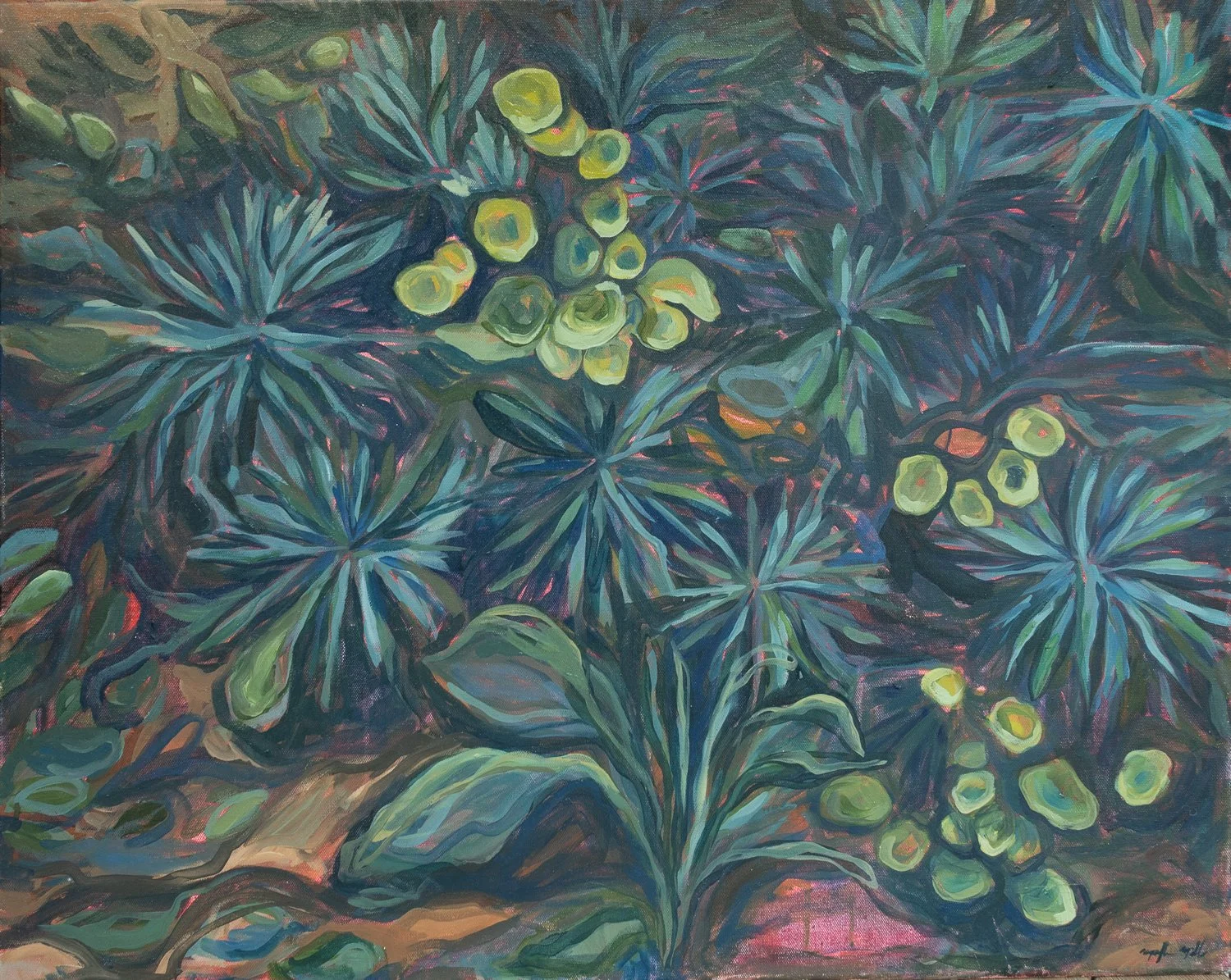 Humble    8×10”
$15