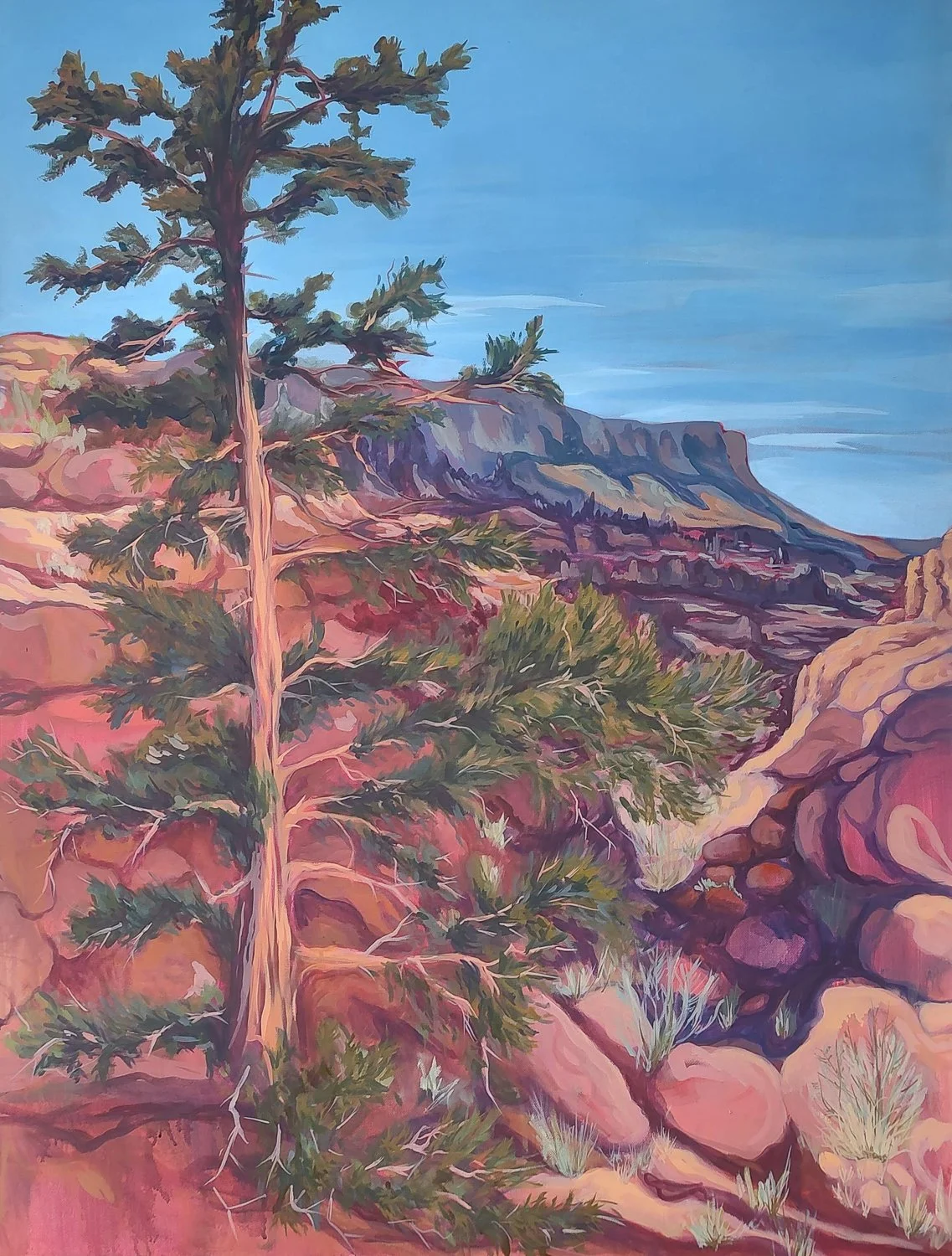 Canyonlands   11×14”
$35