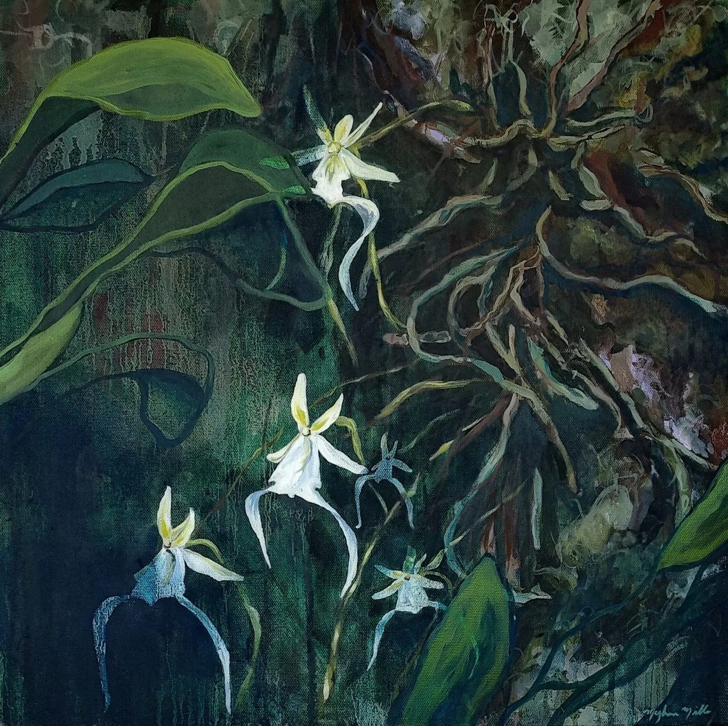 Ghost Orchid   12×12”
$25