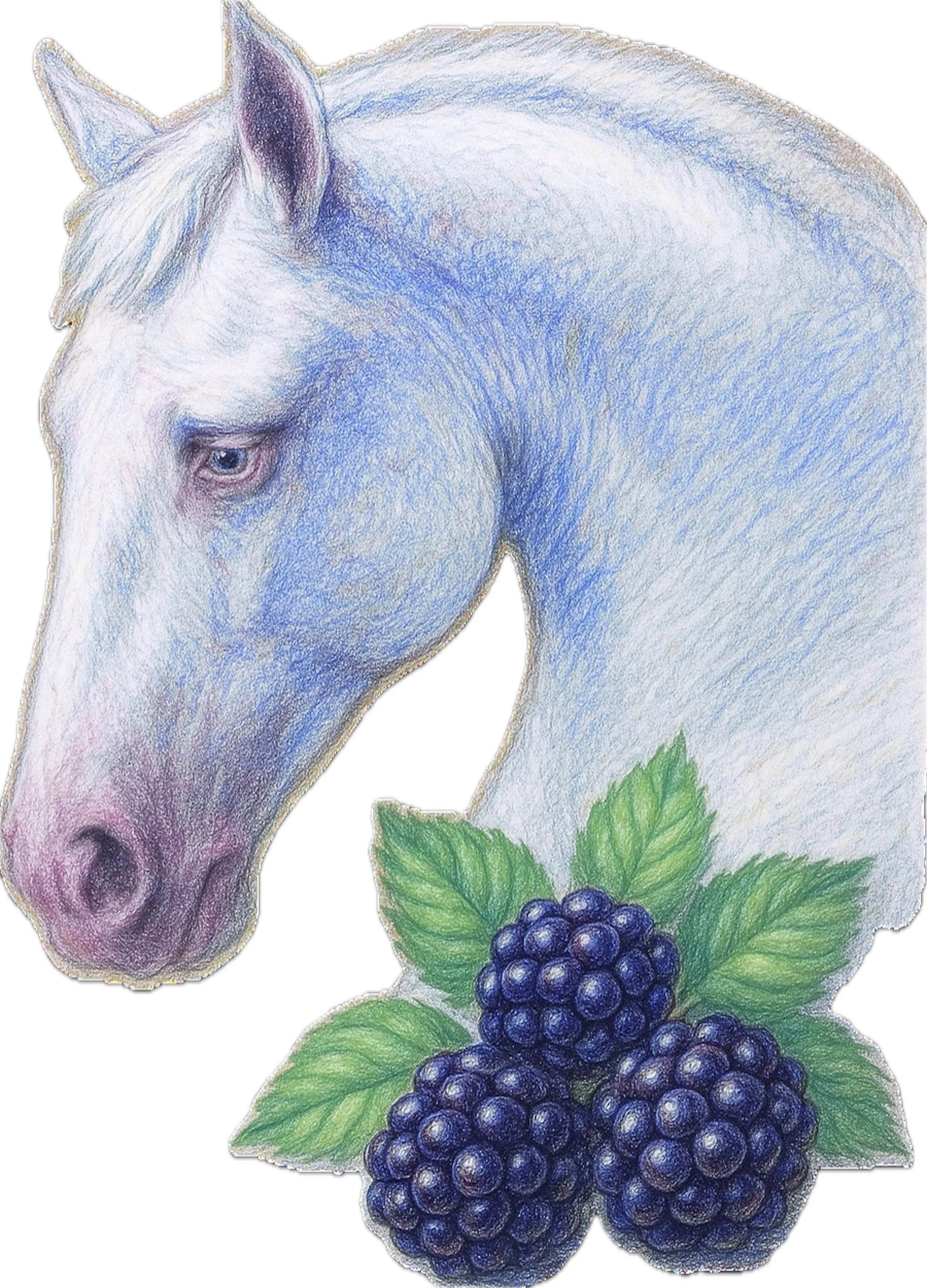 White and blue horse.jpeg