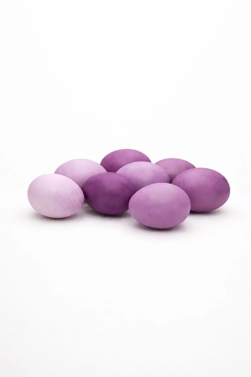 Eggberry1.jpeg