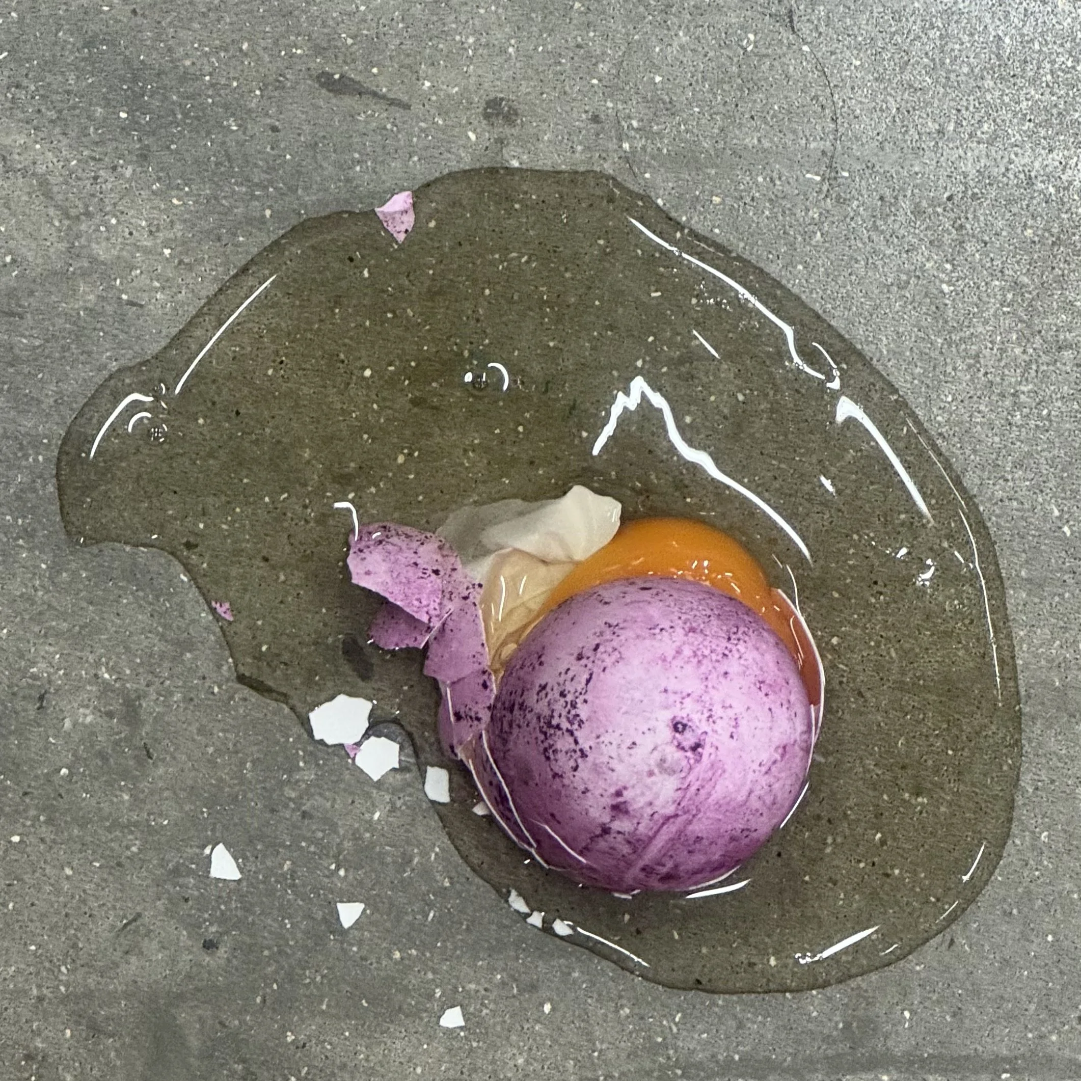 Eggberrycracked.jpeg