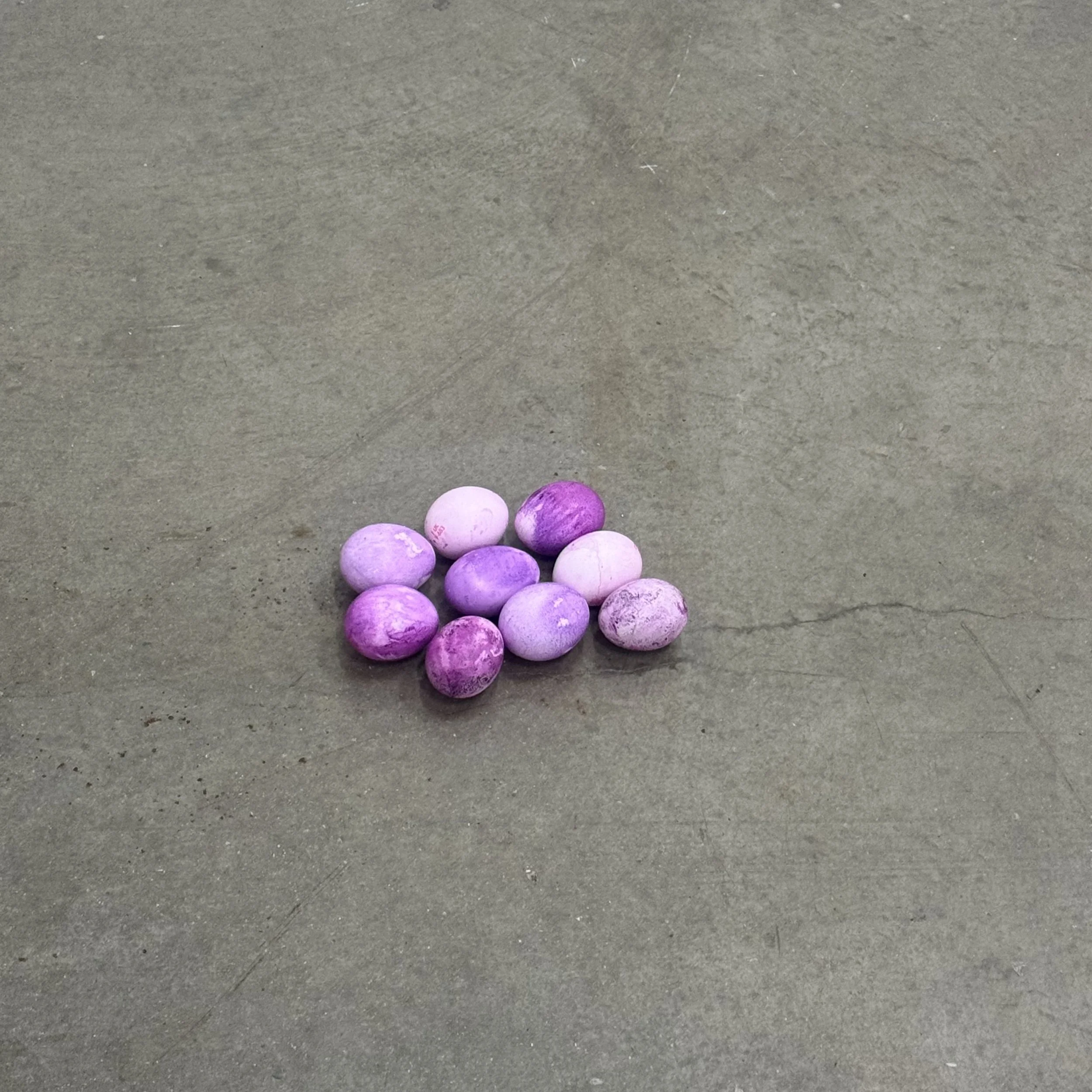 Eggberriesprocess.jpeg