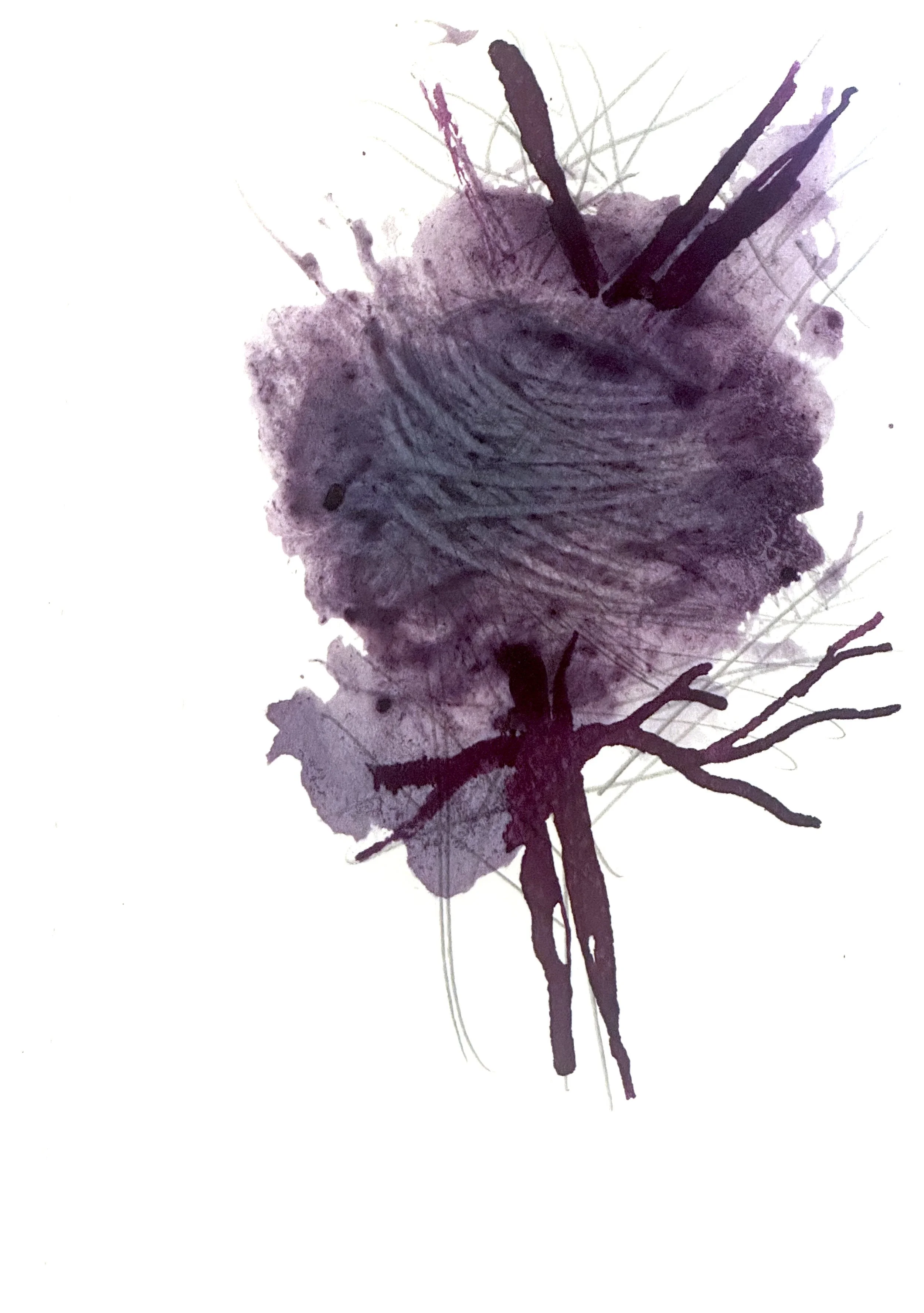 Blackberry nest.jpeg