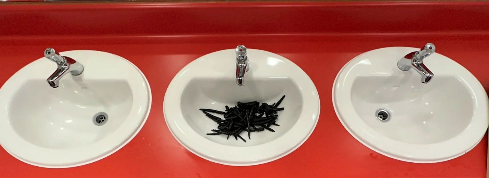 Leeches 4.jpeg