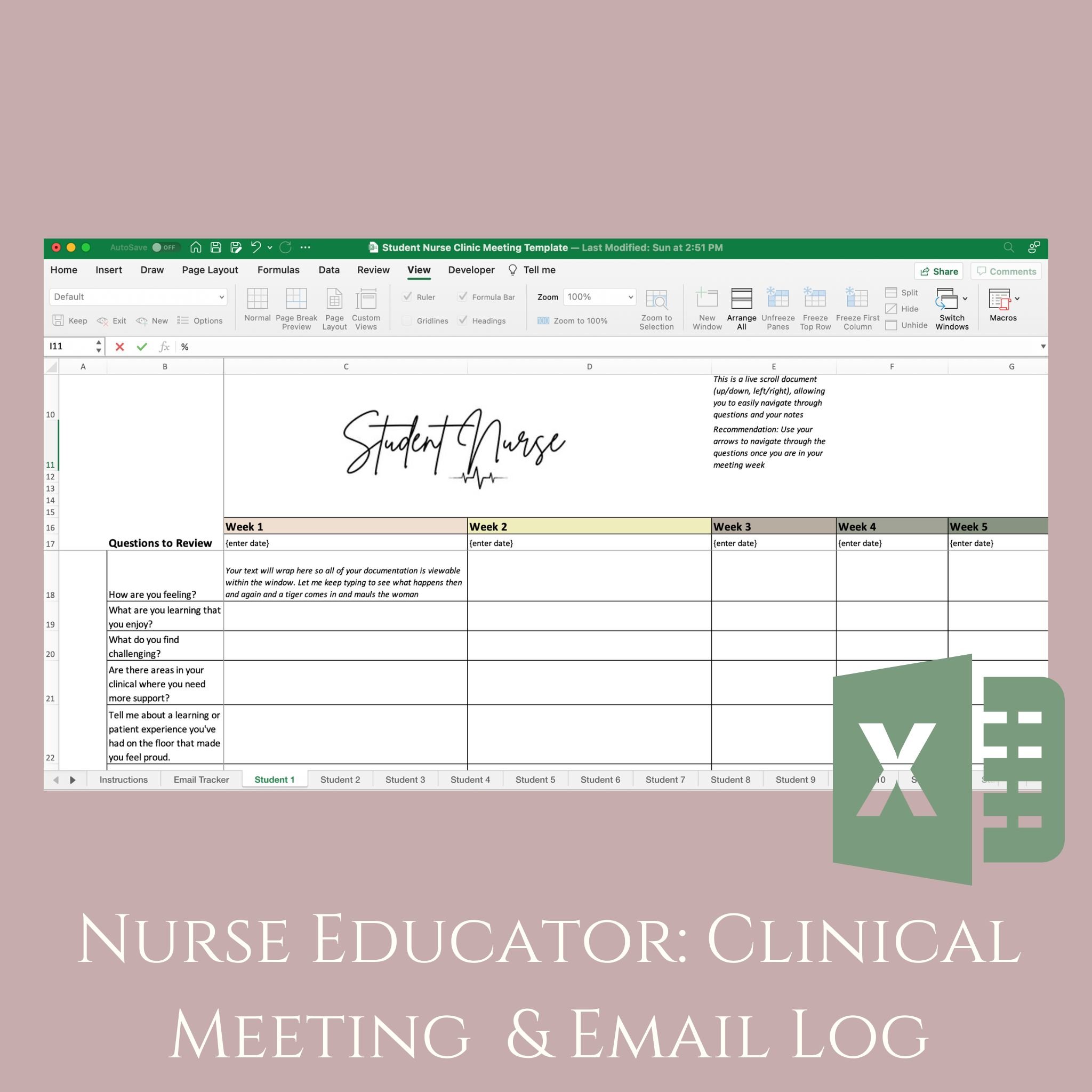 Nurse Educator: Clinnic Meeting and Email Log image.jpg