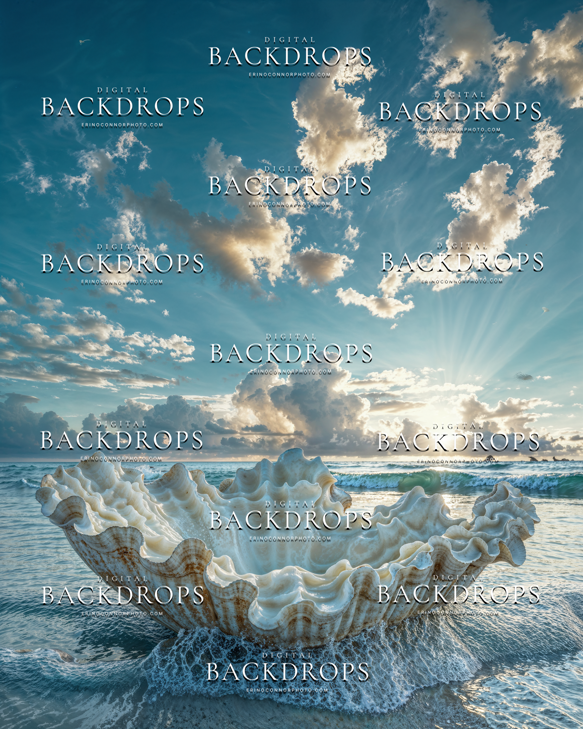 Upright seashell digital background on wet sand with sunrise glow, foamy water, and soft cloud light over the sea.