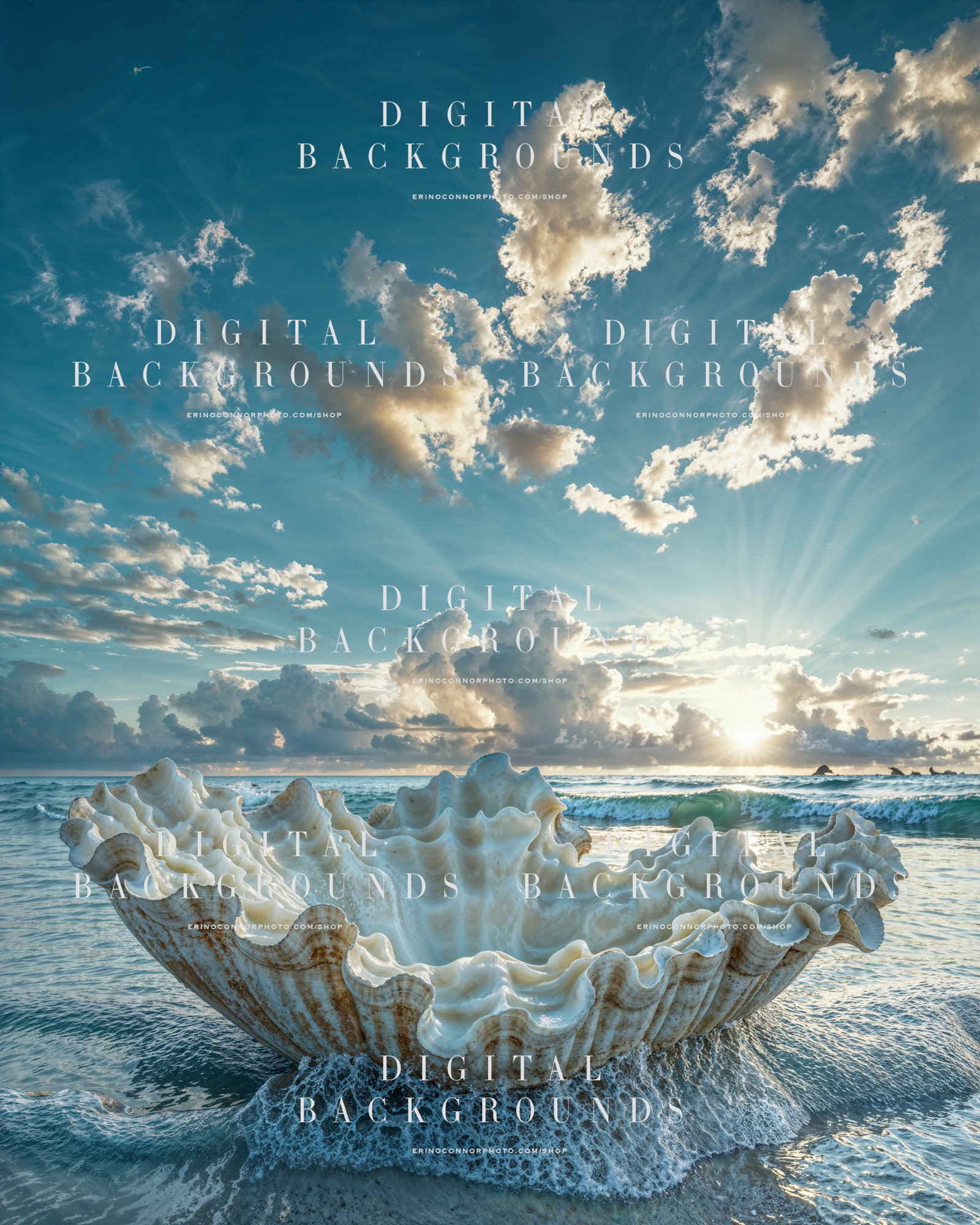 White conch shell digital background at the shoreline with glowing sunrise light, surf, and an airy blue sky.
