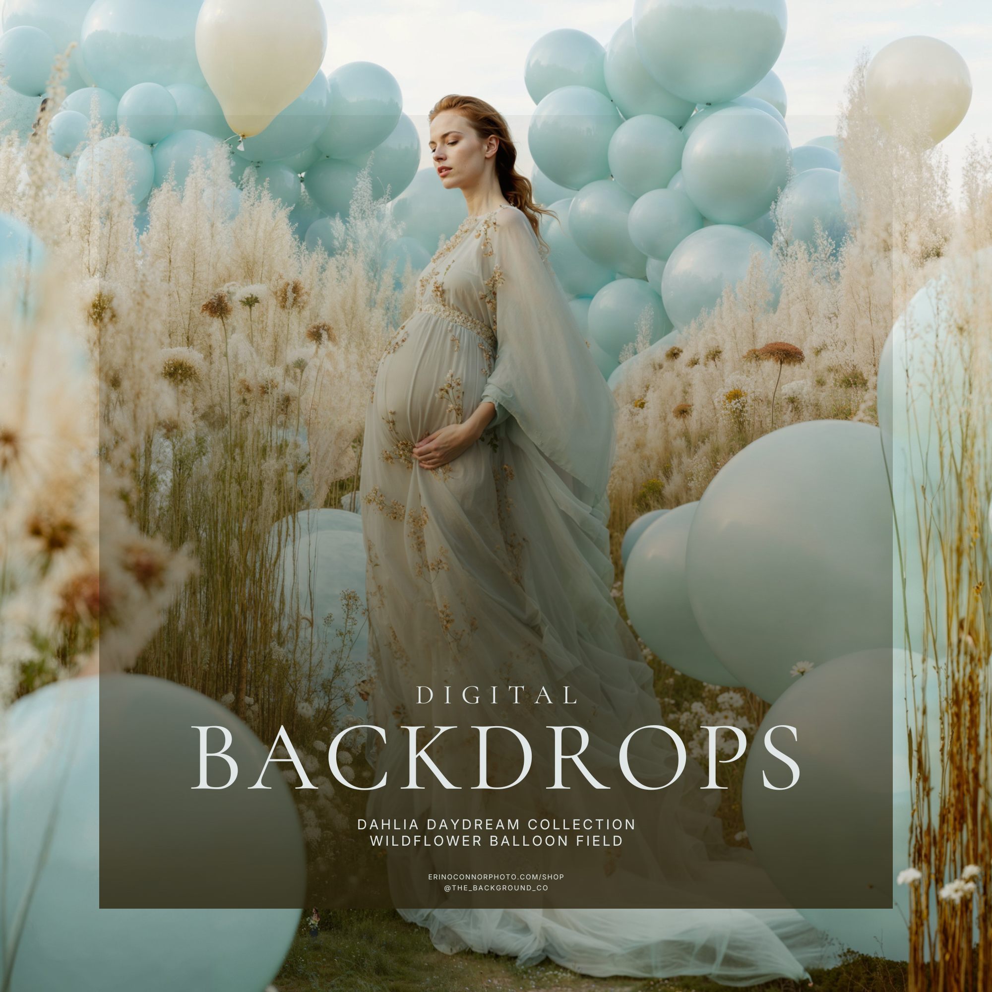Wildflower_Balloon_Field_Digital_Backgrounds_Backdrops-2.png