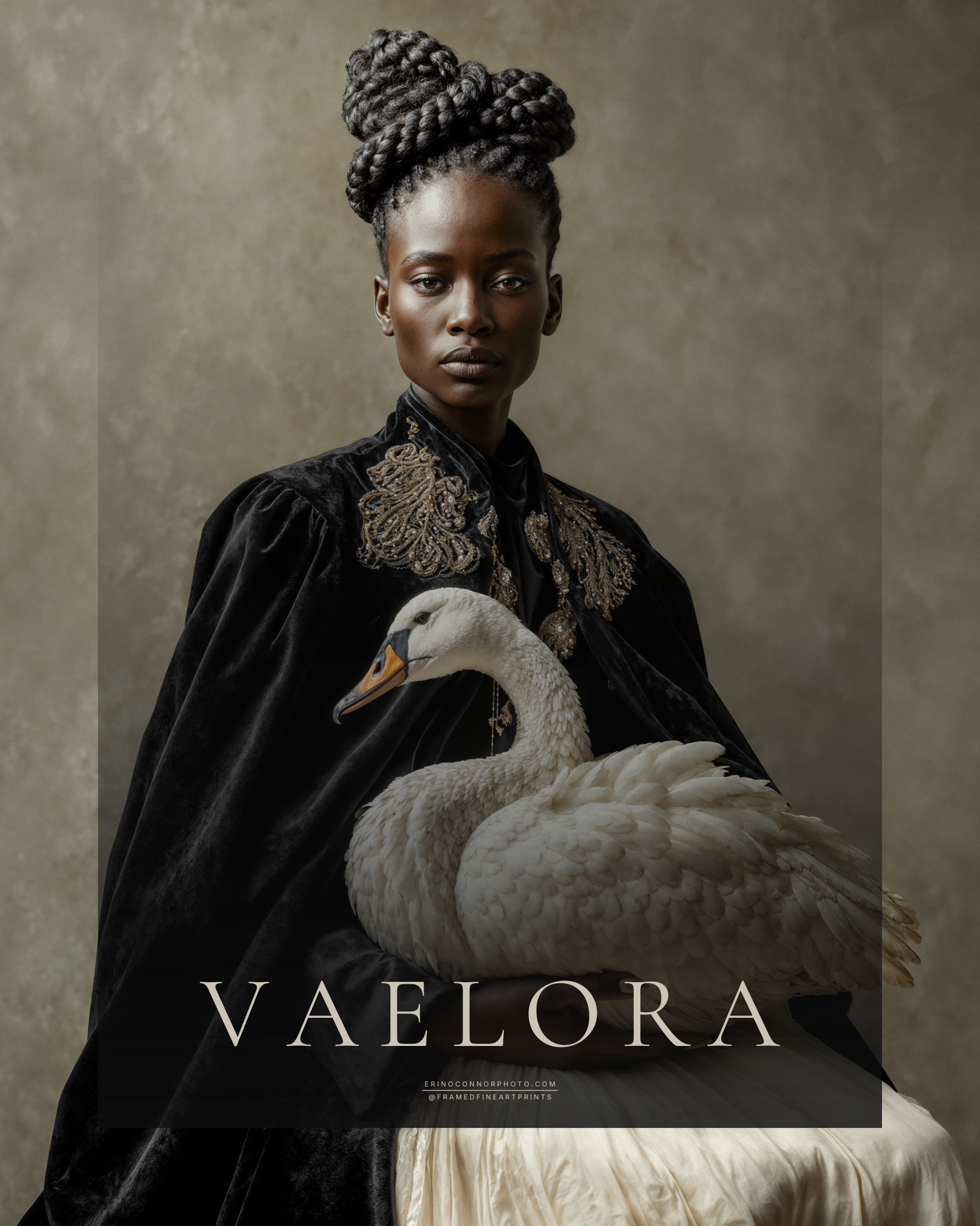 Vaelora fine art portrait of a woman in black embroidered velvet gently holding a white swan.