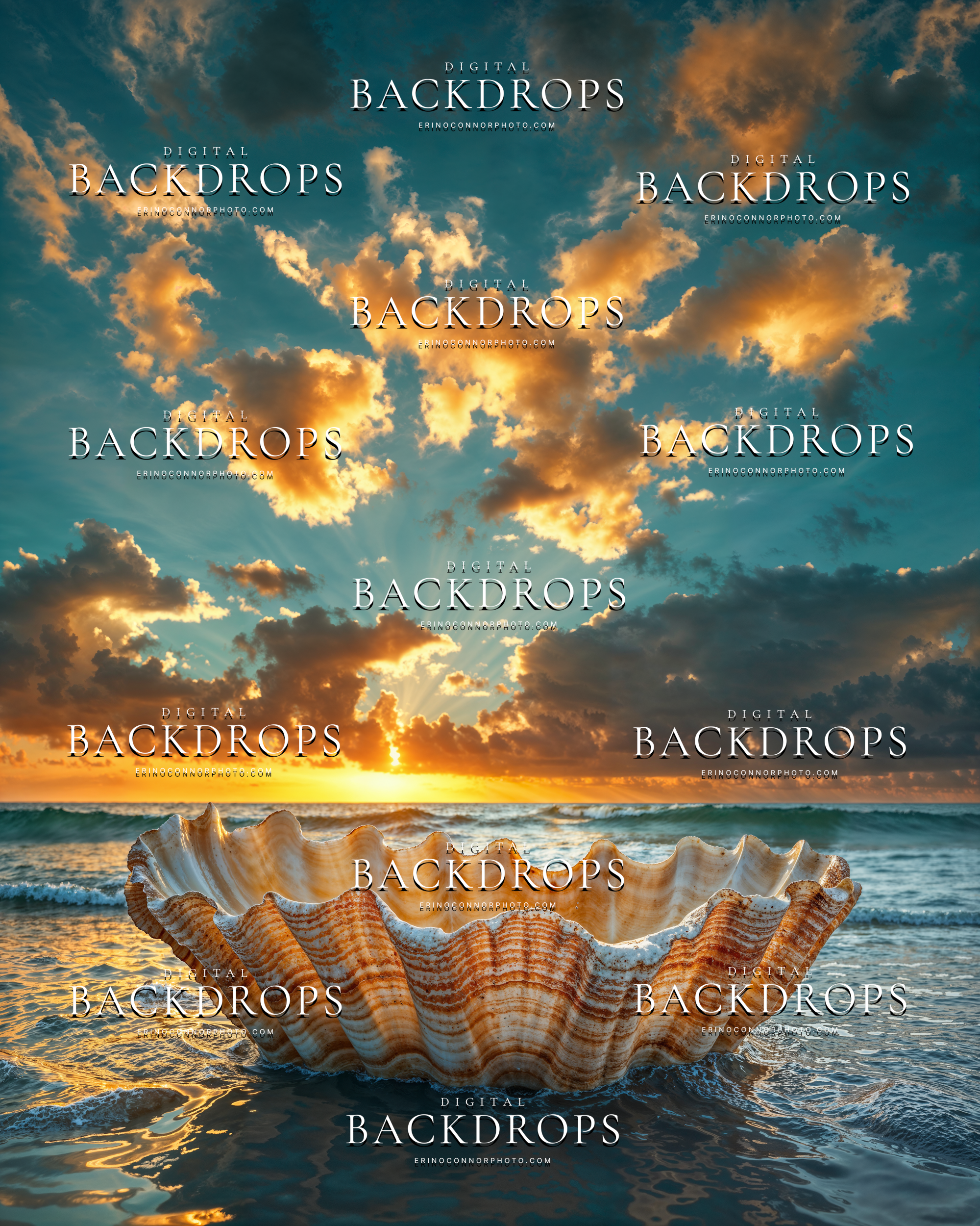 Ocean seashell digital background with a striped shell bowl in shallow water under a glowing sunset sky with dramatic golden clouds.