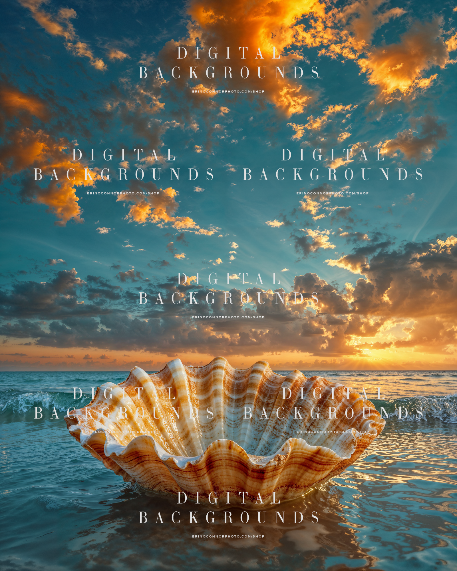 Ocean seashell digital background with a striped shell bowl in shallow water under a glowing sunset sky with dramatic golden clouds.