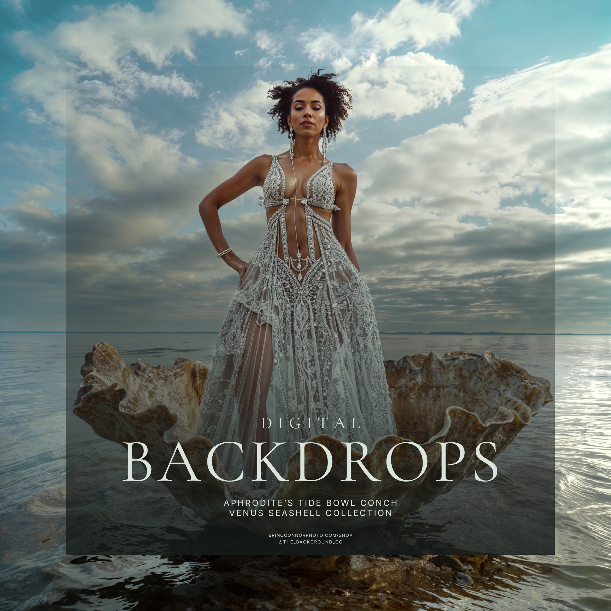 Venus_Seashell_Conch_Aphrodite_Digital_Backgrounds_Backdrops-2.png