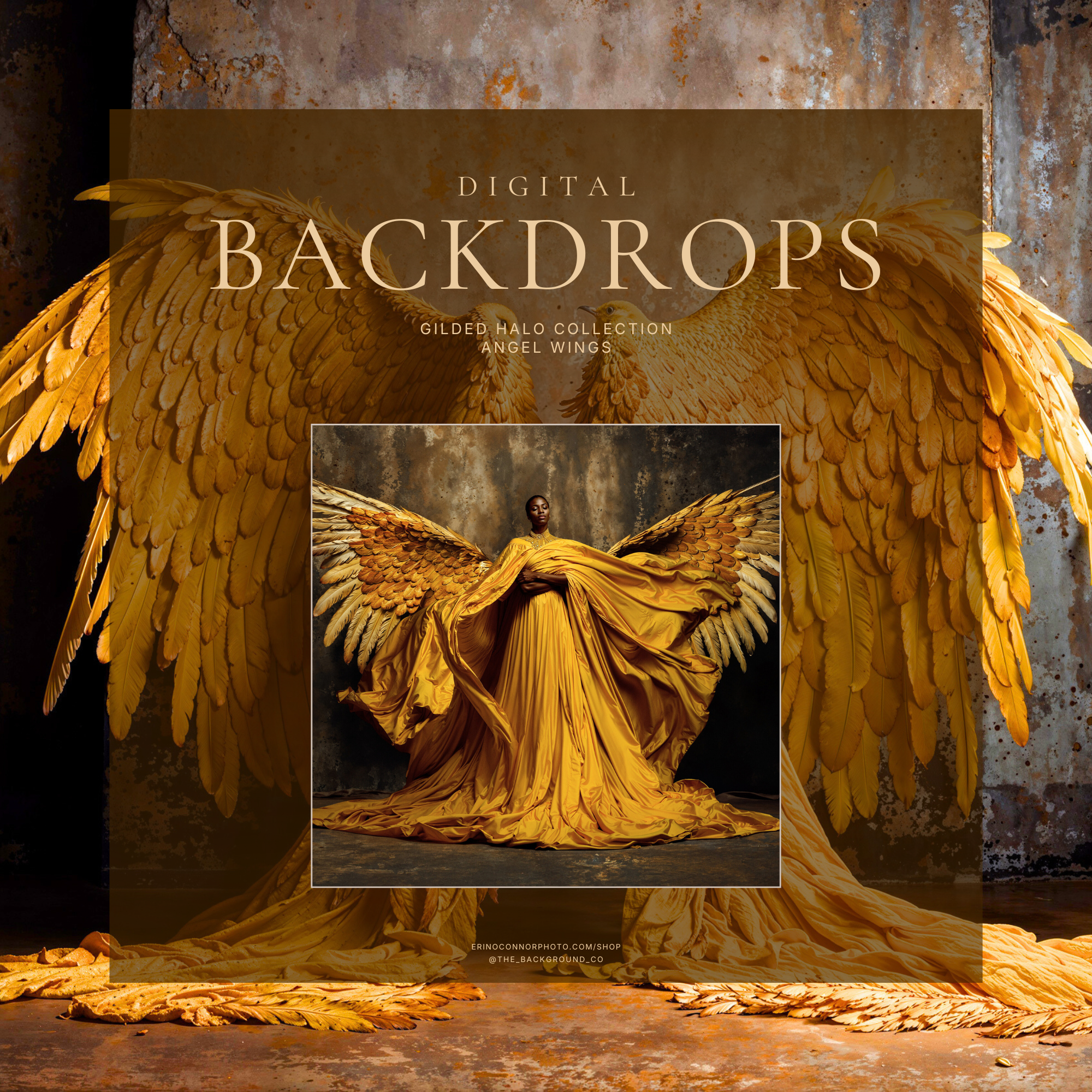 Angel Wings: Gilded Halo Collection ~ Digital Backgrounds