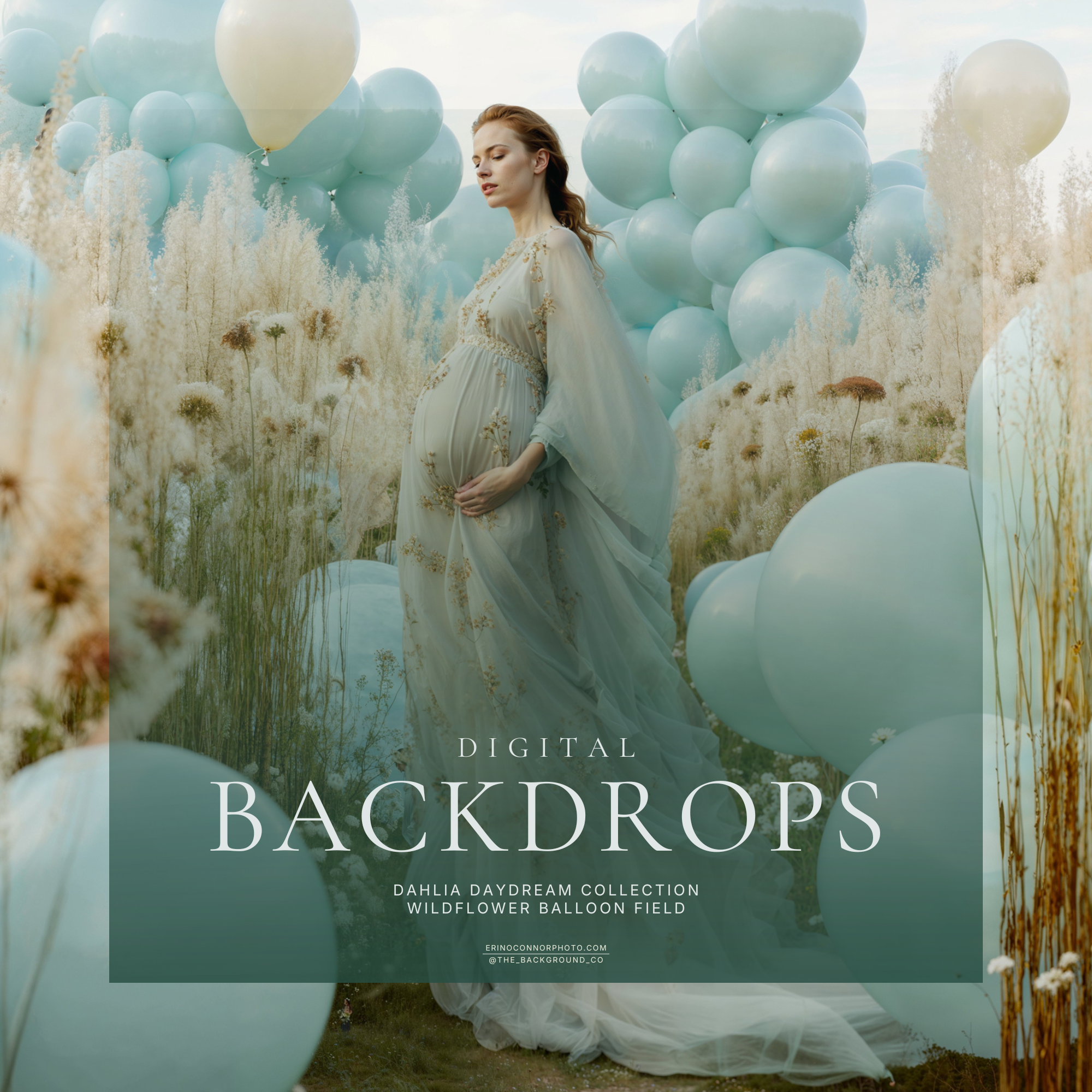 Wildflower Balloon Field: Dahlia Daydream | Pastel Balloon Meadow Digital Backdrops