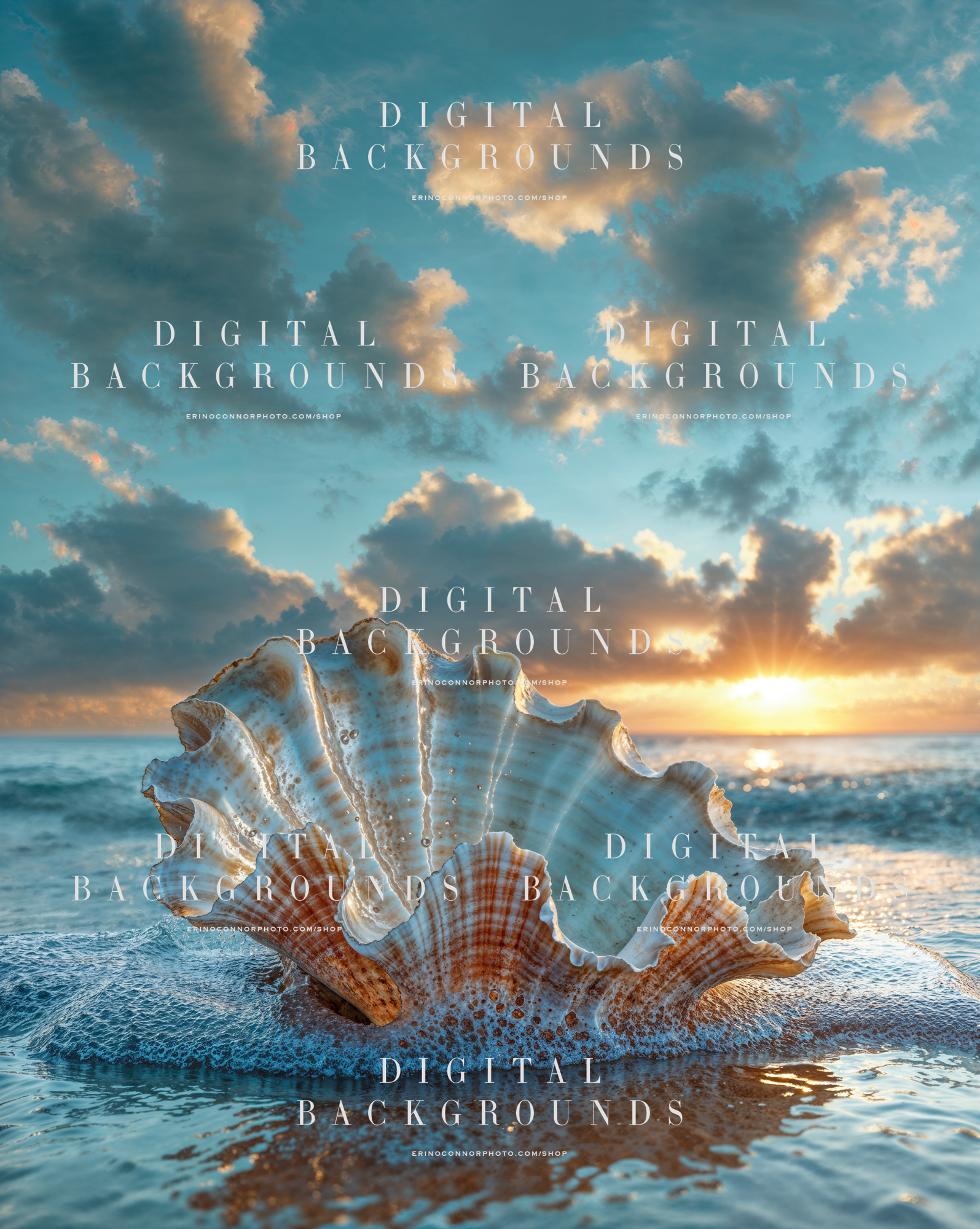 Upright seashell digital background on wet sand with sunrise glow, foamy water, and soft cloud light over the sea.