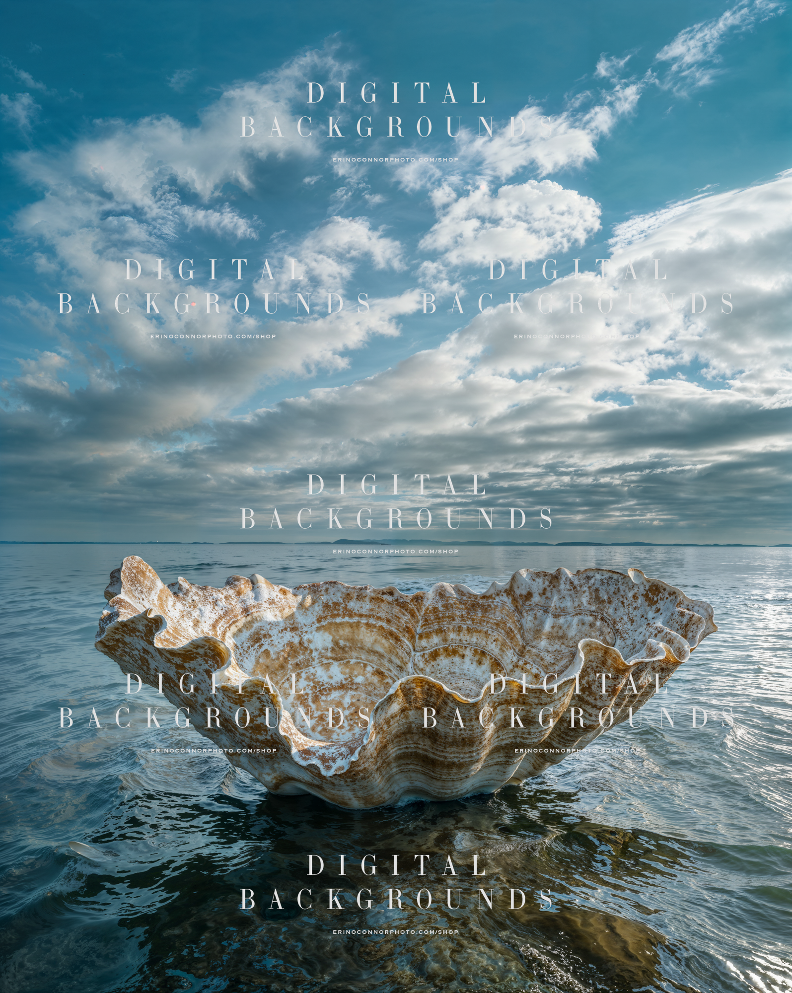 Weathered seashell bowl digital background floating in calm blue water beneath a wide cloud filled sky and distant horizon.