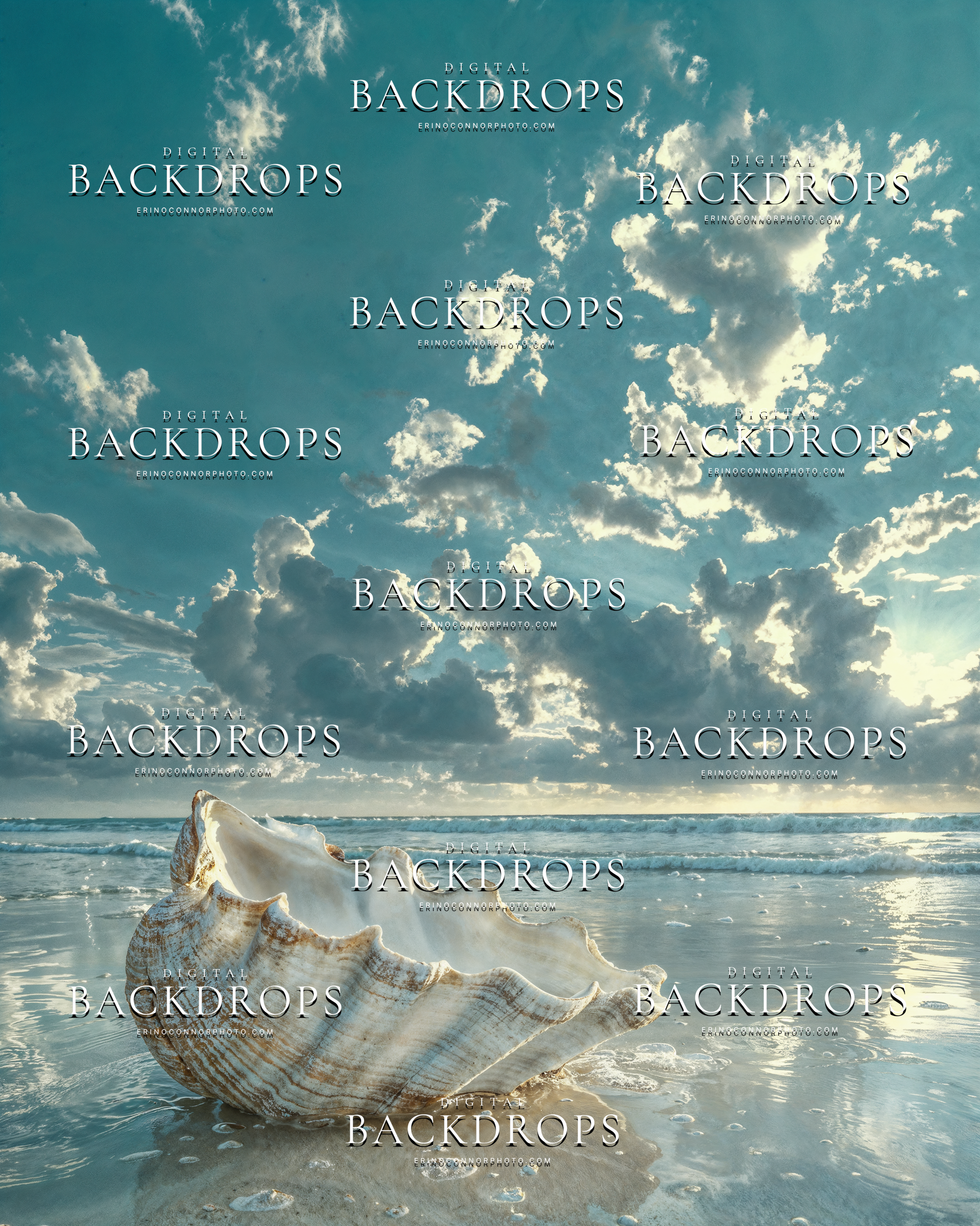 Backlit seashell digital background on wet beach with glowing clouds, reflective shoreline, and soft ocean light.