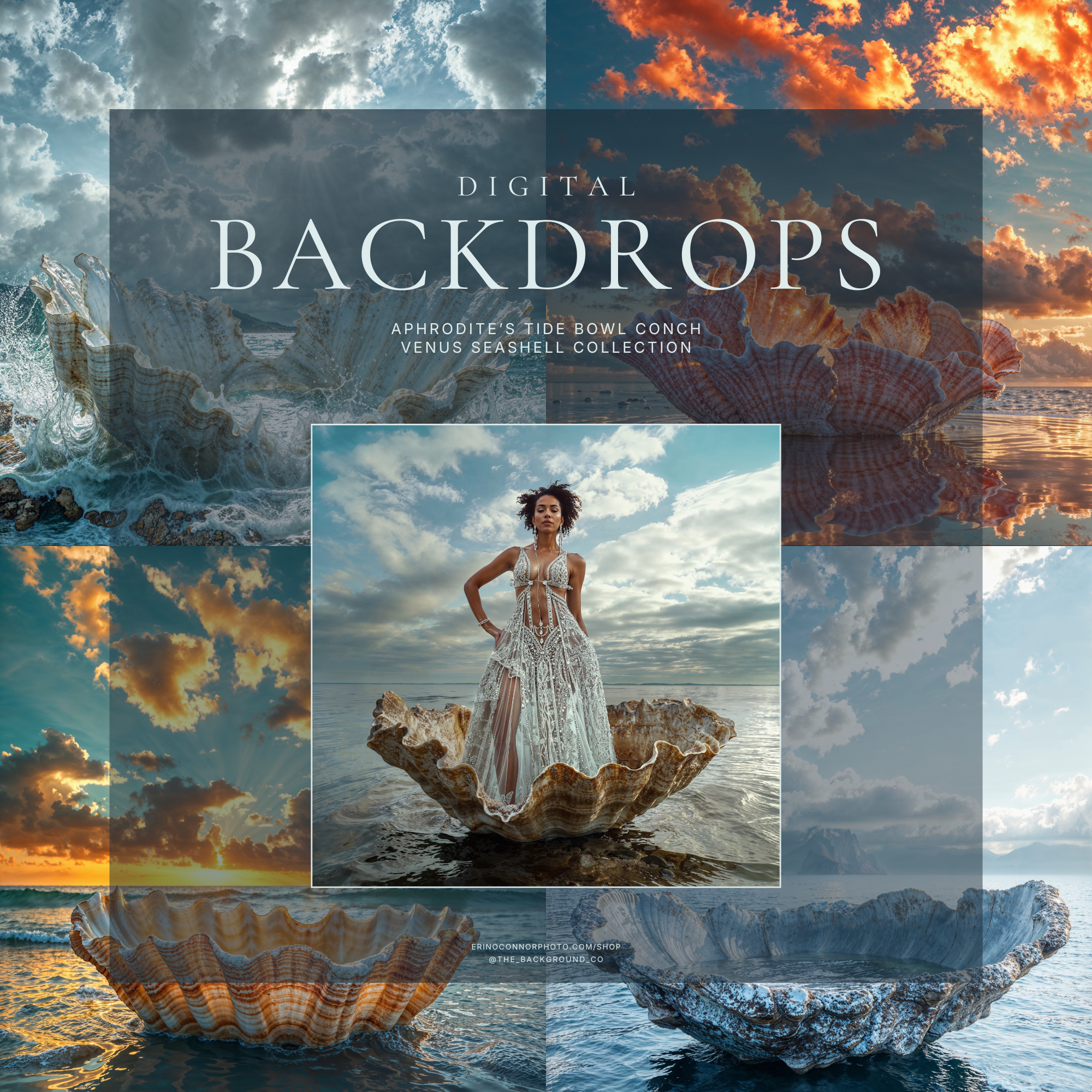 Collection cover collage for Venus Seashell: Aphrodite Tide Bowl, showing multiple ocean seashell digital backgrounds with dramatic skies and reflective coastal water.