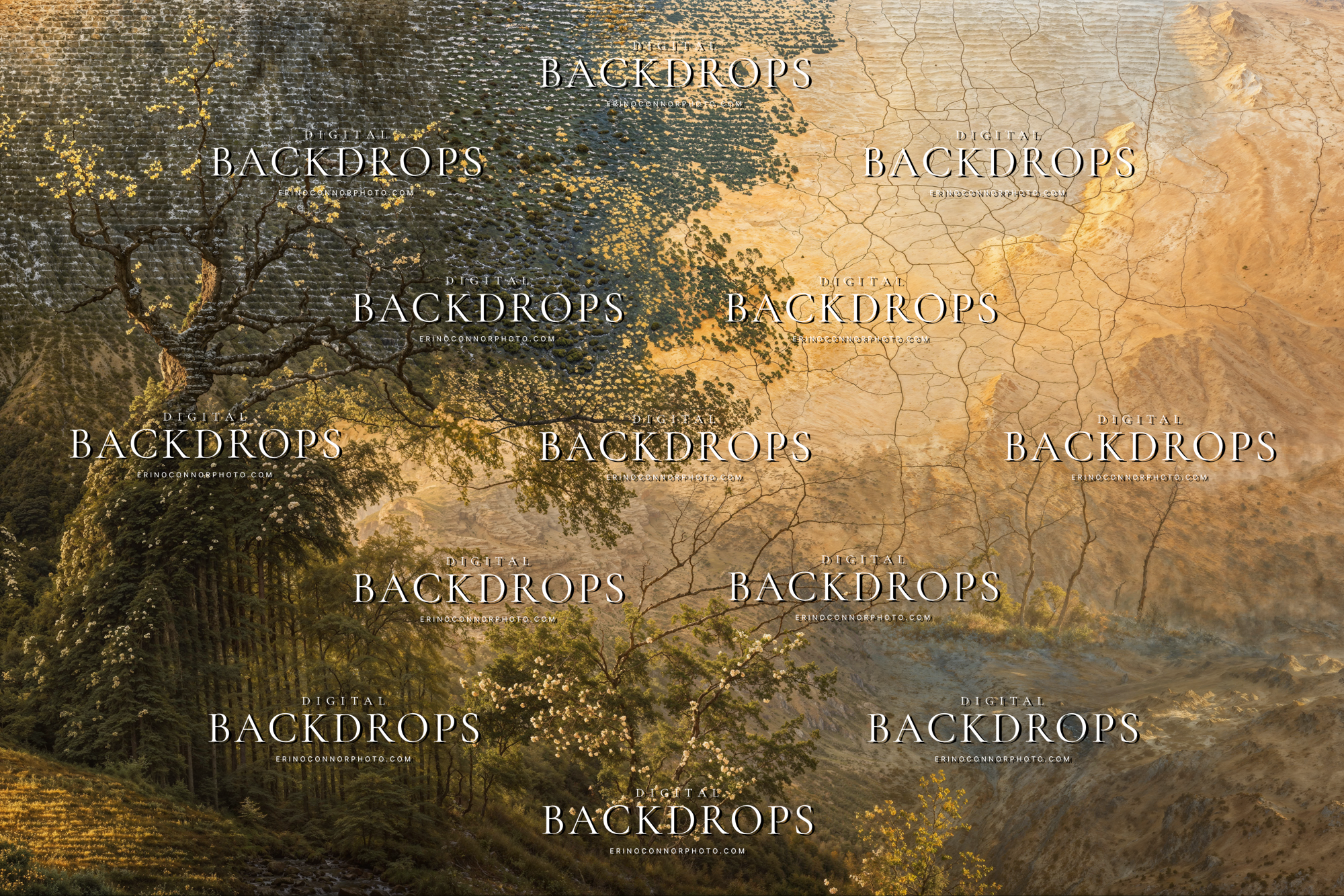 Old Masters Landscapes Varnished Valleys digital background 6, golden valley overlook with winding river, antique patina texture, fine art portrait backdrop.