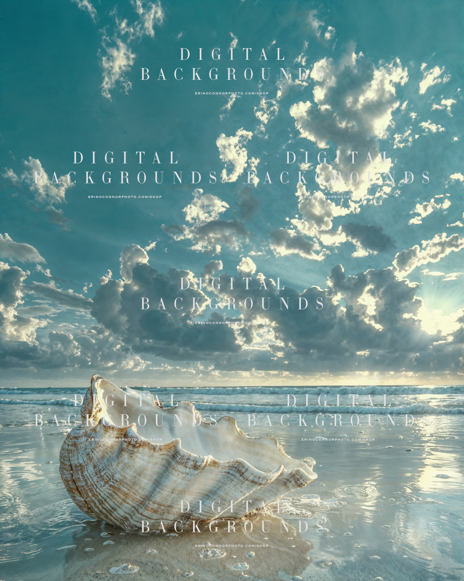 Backlit seashell digital background on wet beach with glowing clouds, reflective shoreline, and soft ocean light.