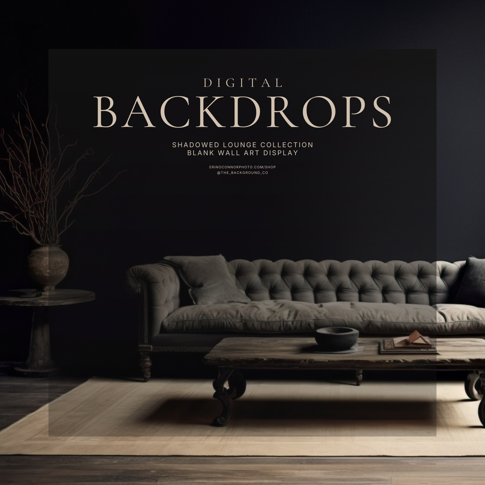 Blank Wall Art Display: Shadowed Lounge Collection ~ Digital Backgrounds