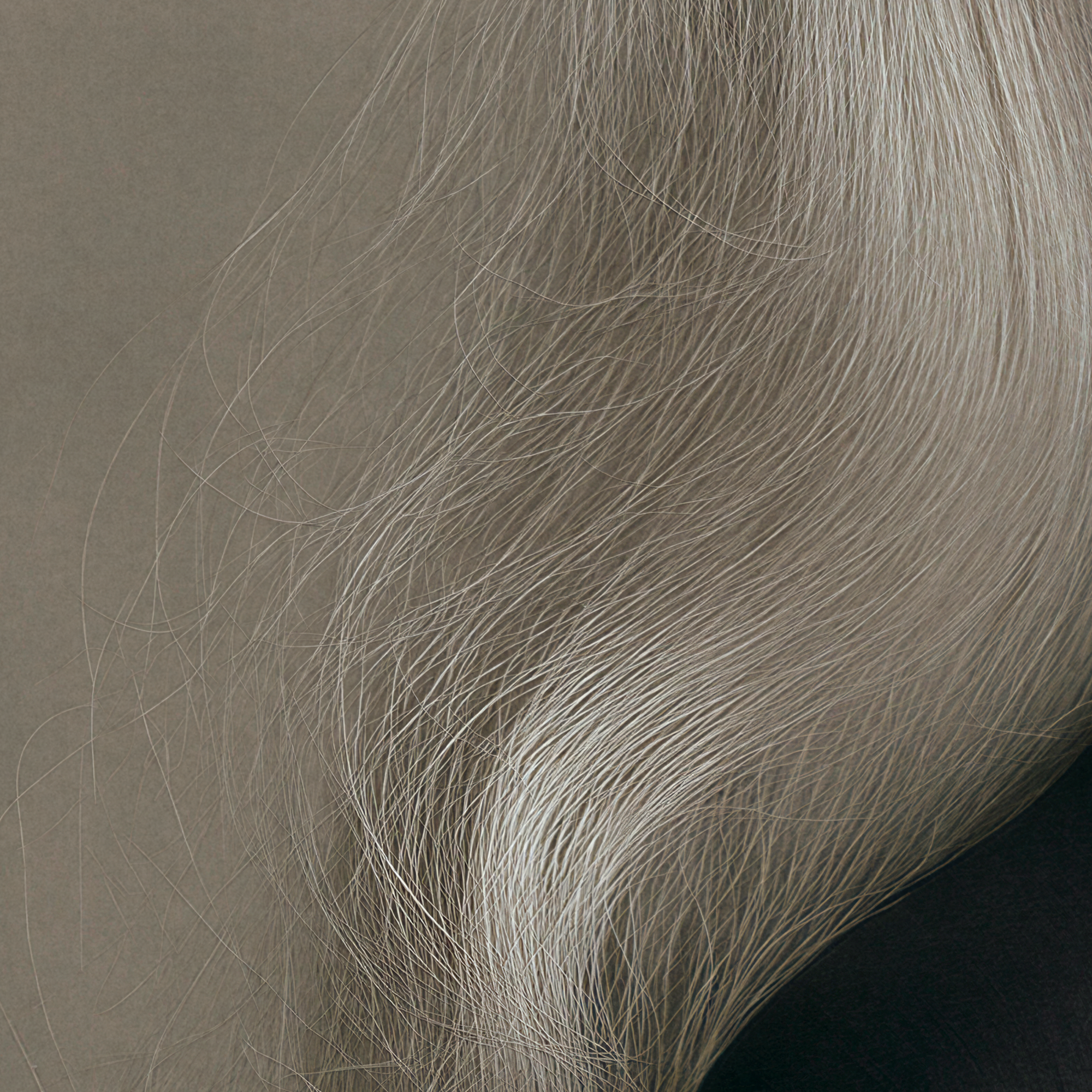 Close detail of Astera's long silver hair flowing against her black garment.