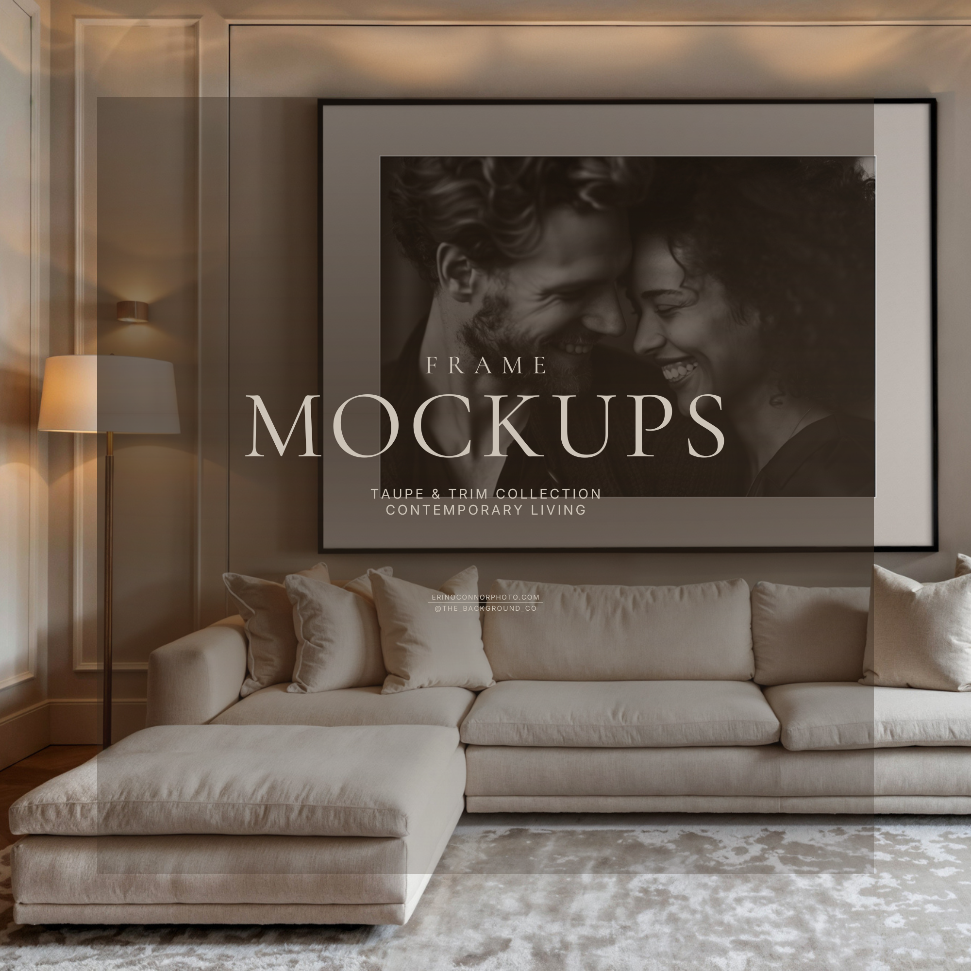 Contemporary Living: Taupe & Trim - Room & Frame Mockups