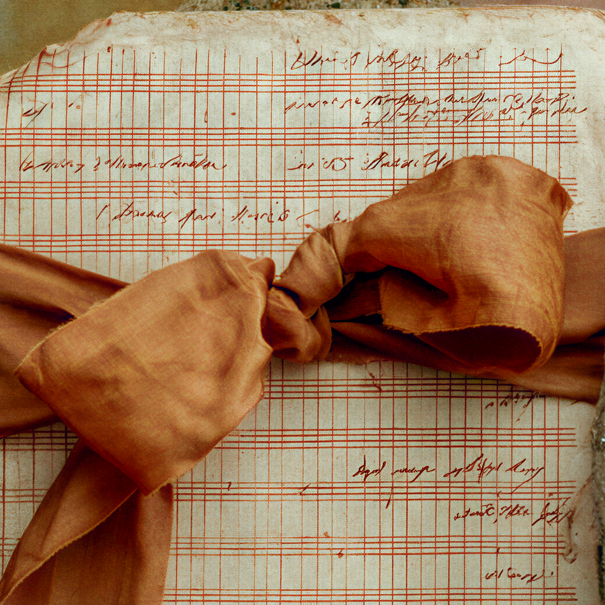 Close-up of a copper ribbon bow tied around aged ledger pages with handwritten markings in the Sidonie portrait.