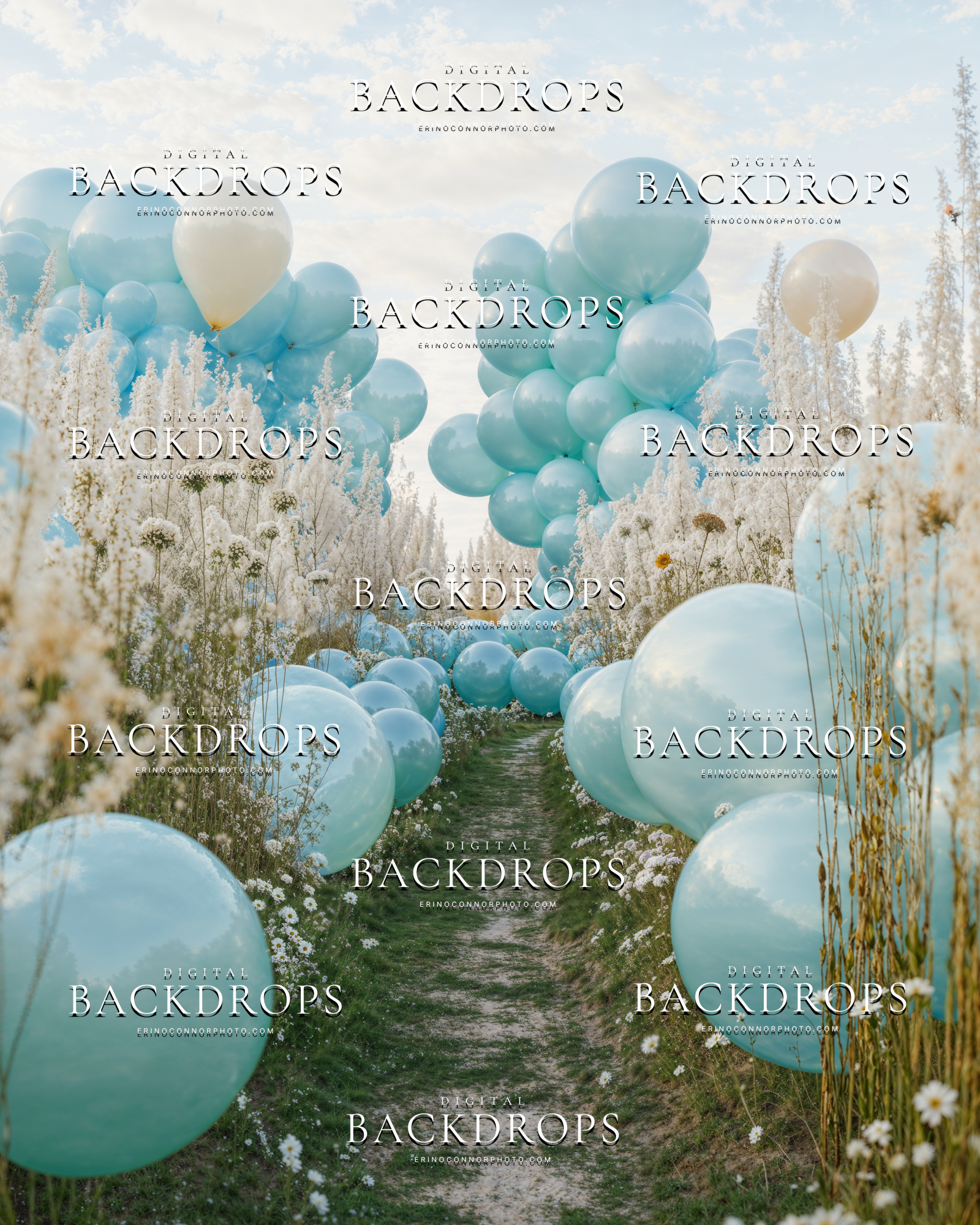Sky blue balloon clusters along a narrow meadow path with white grasses and soft clouds, light airy digital backdrop for newborn composites.