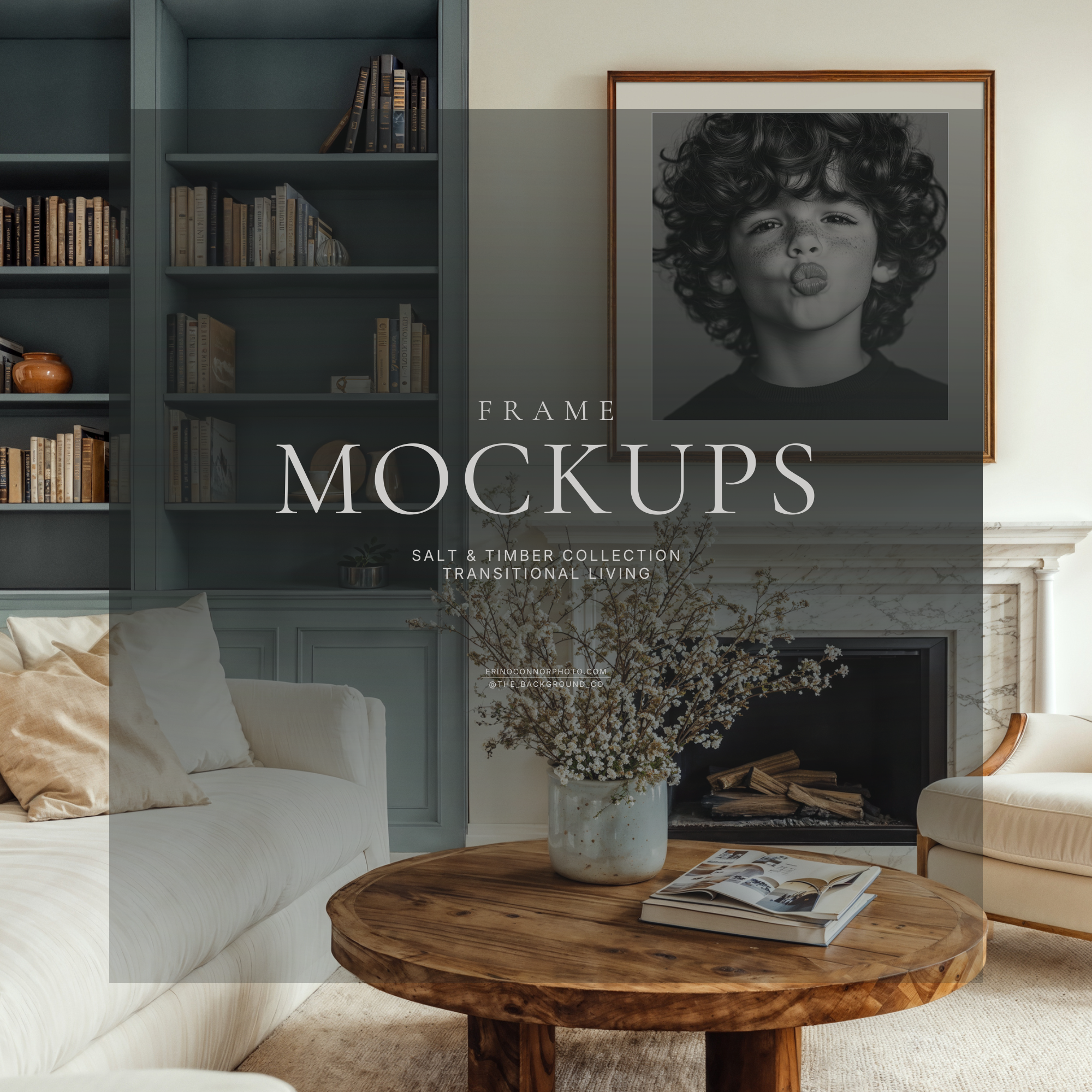 Transitional Livingroom: Salt & Timber Collection ~ Room & Frame Mockups