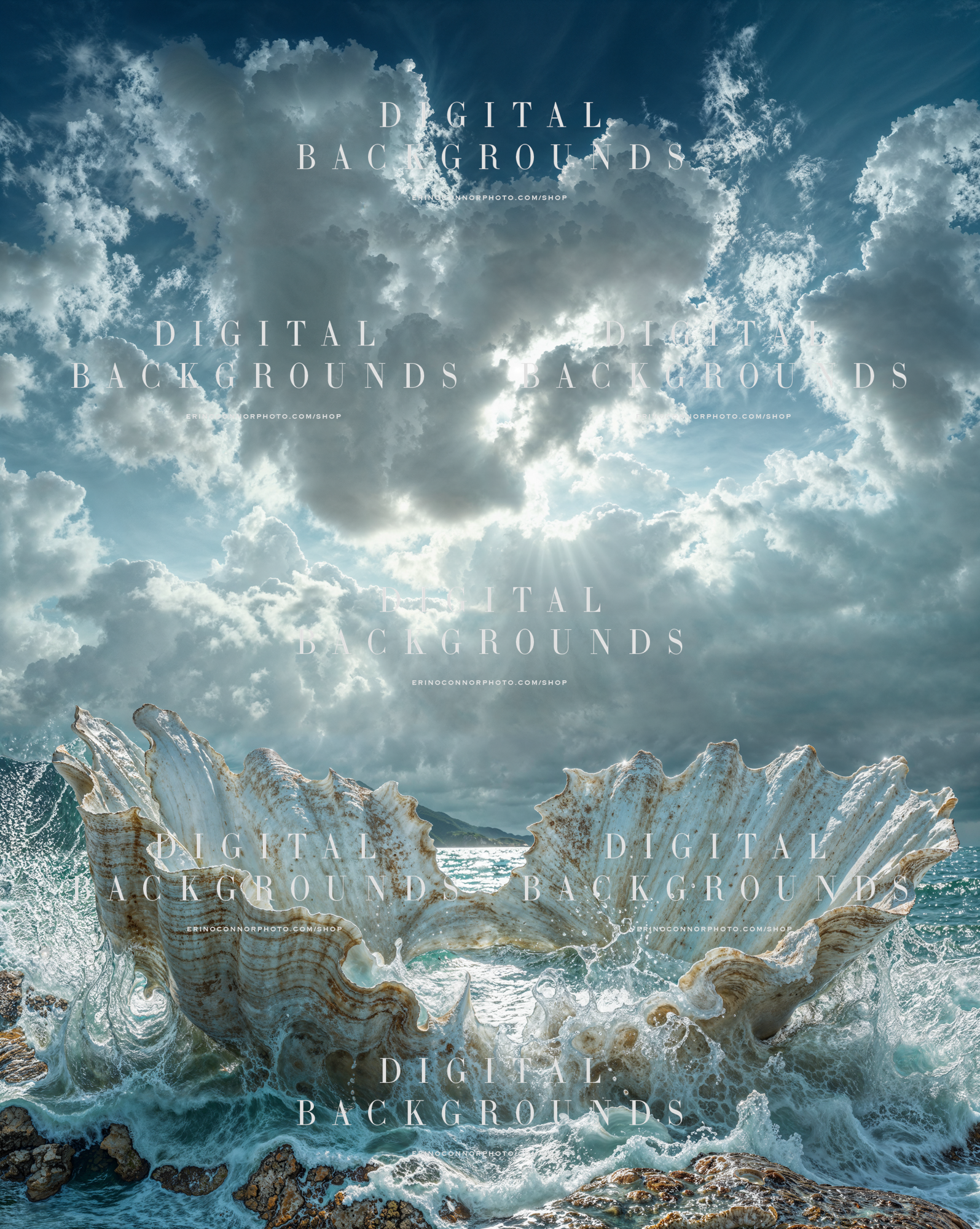 Dramatic ocean seashell digital background with a split conch form, crashing waves, sea spray, and bright storm lit clouds.