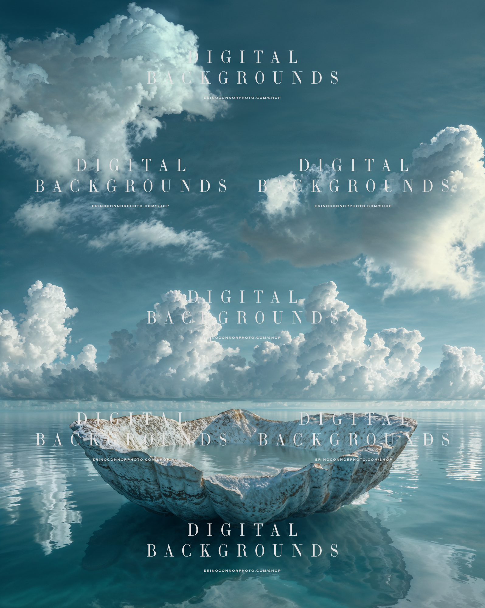 Seashell bowl digital background resting in still aqua water beneath towering white clouds and mirrored reflections.