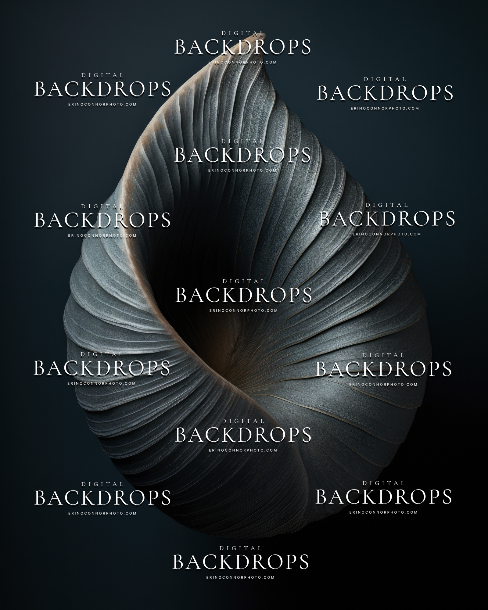 Newborn Botanicals Night Shell digital background, midnight teal with dark shell spiral and copper edges, moody newborn composite backdrop