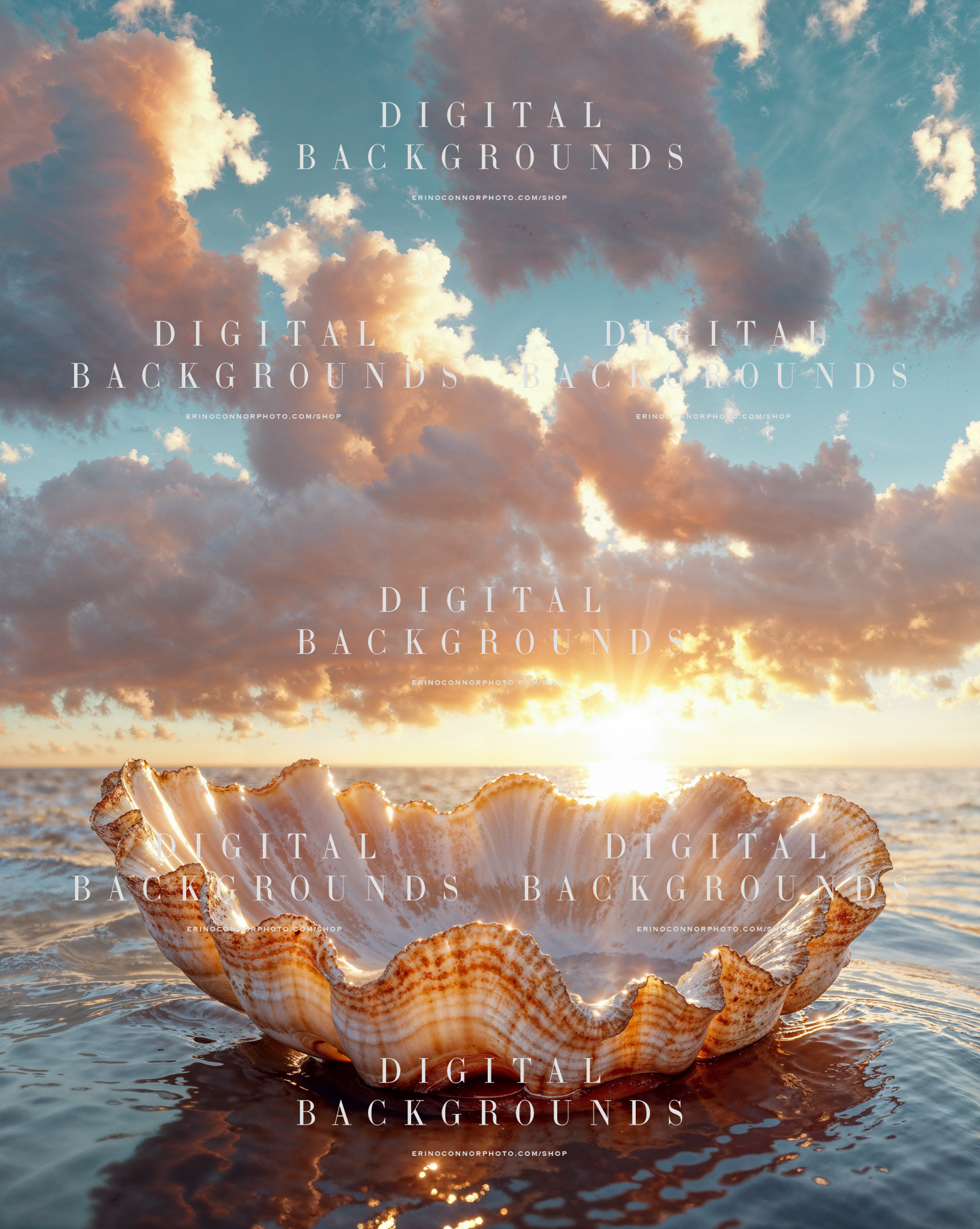 Seashell bowl digital background with warm sunrise light, pastel clouds, reflective water, and a soft coastal fantasy atmosphere.