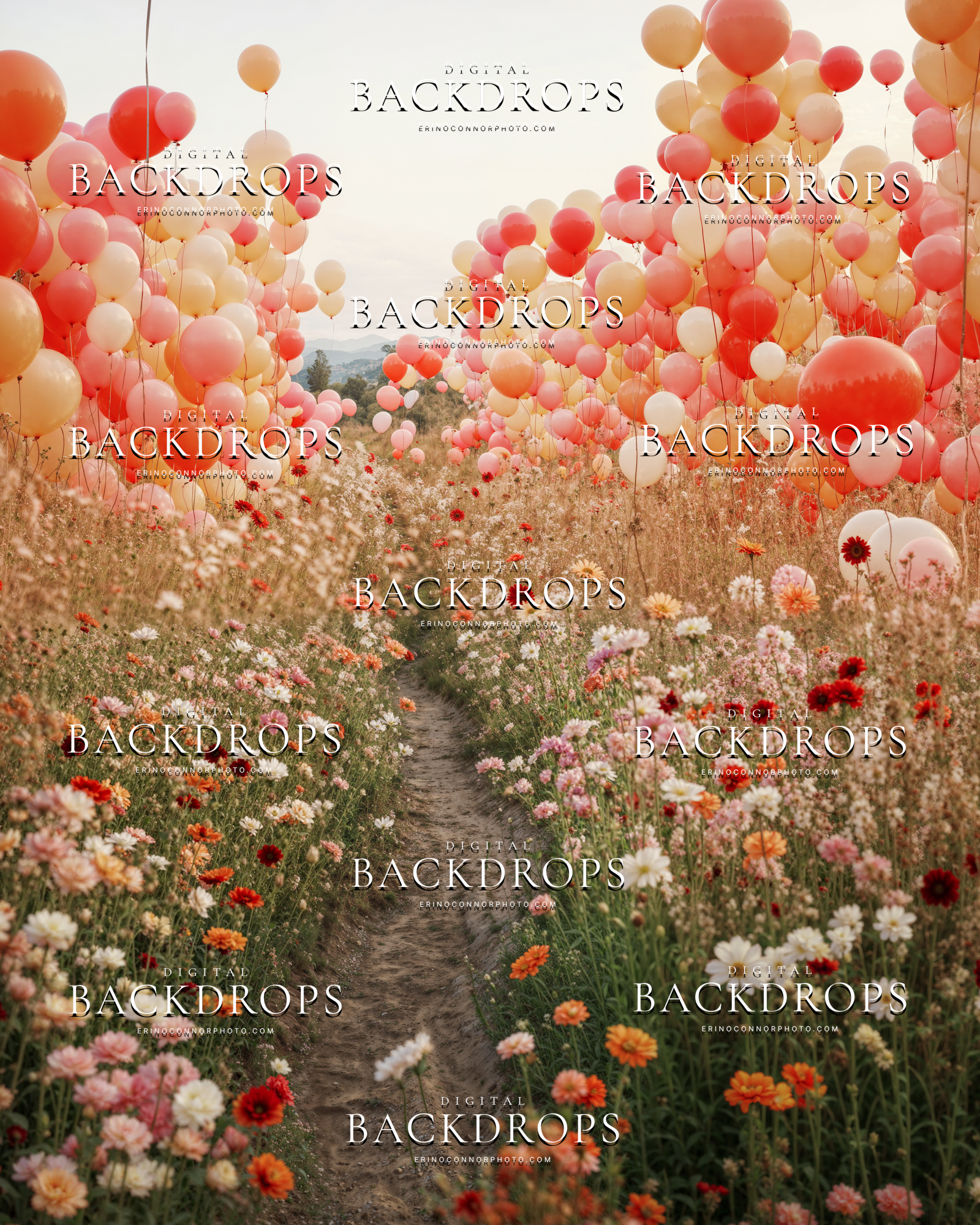 Blush, coral, and peach balloon clusters framing a sandy path with pink wildflowers, warm sunset toned balloon field digital backdrop.