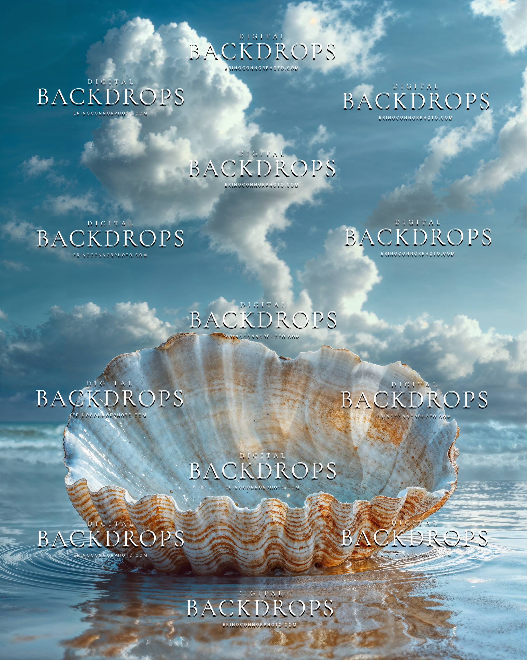 Ocean shell bowl digital background with rippled water, pale blue sky, and sculptural cloud formations for fine art portrait composites.