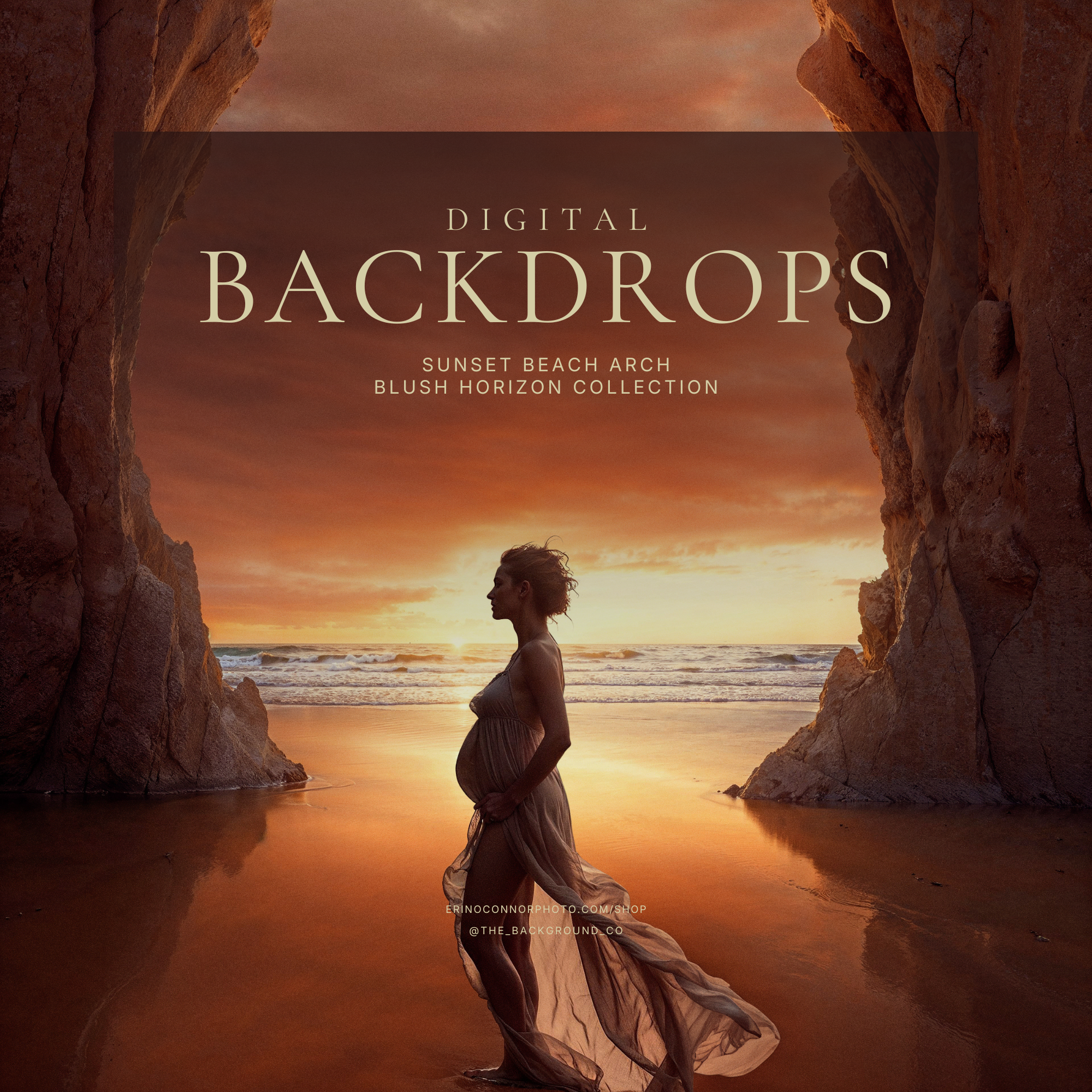 Susnet_Beach_Arch_Blush_Hirizon_Digital_Backgrounds_Backdrops-3.png