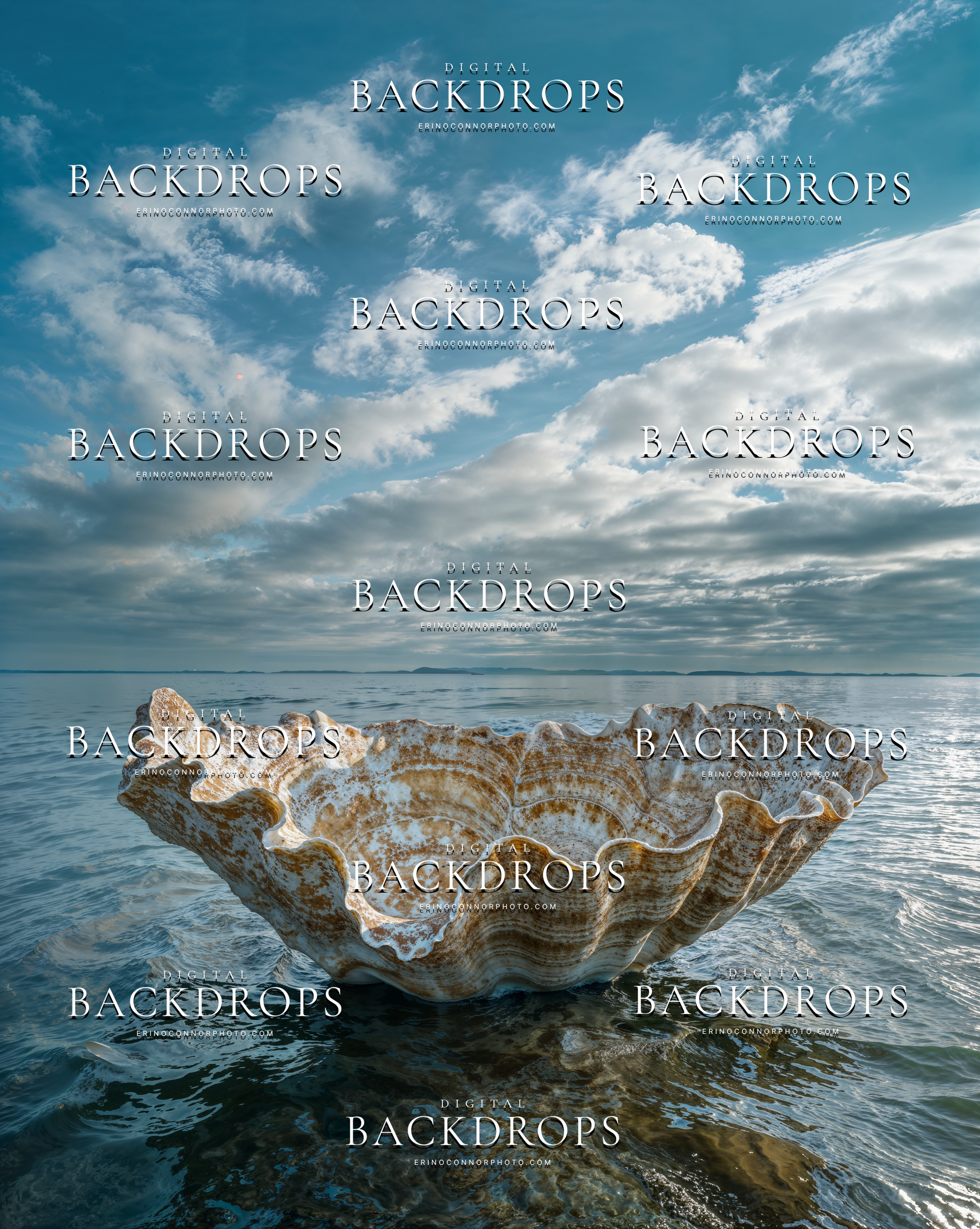 Weathered seashell bowl digital background floating in calm blue water beneath a wide cloud filled sky and distant horizon.