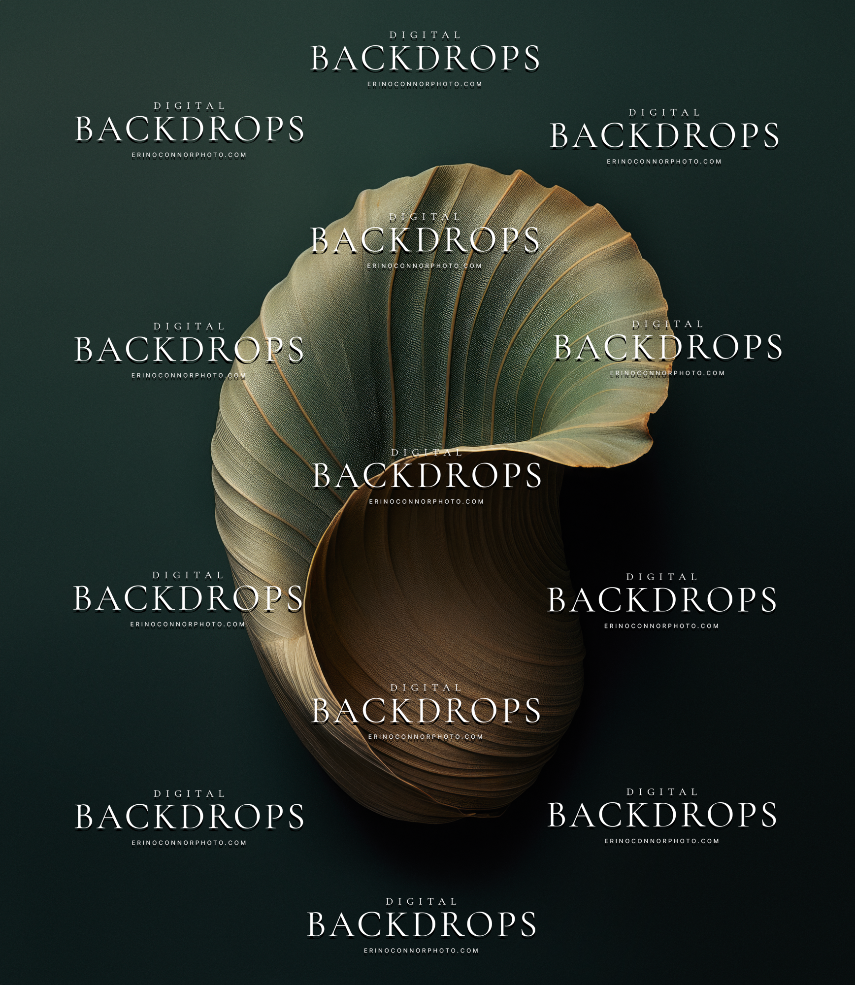 Newborn Botanicals Night Shell digital background, deep forest green with sage and bronze spiral shell, moody newborn composite backdrop