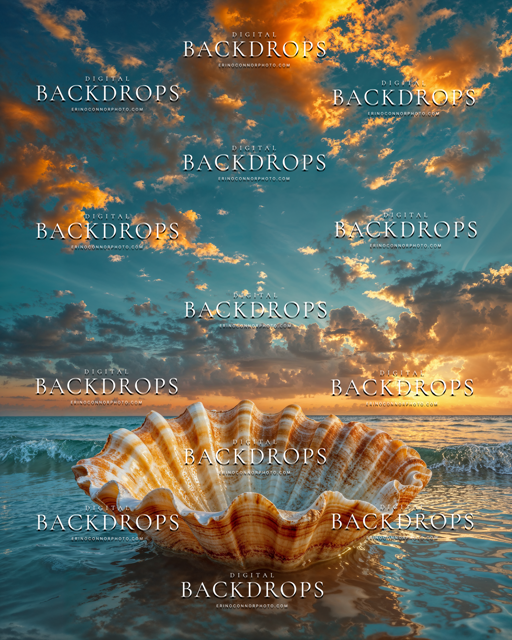 Golden hour seashell bowl digital background with glowing clouds, ocean reflections, and warm coastal fantasy light.