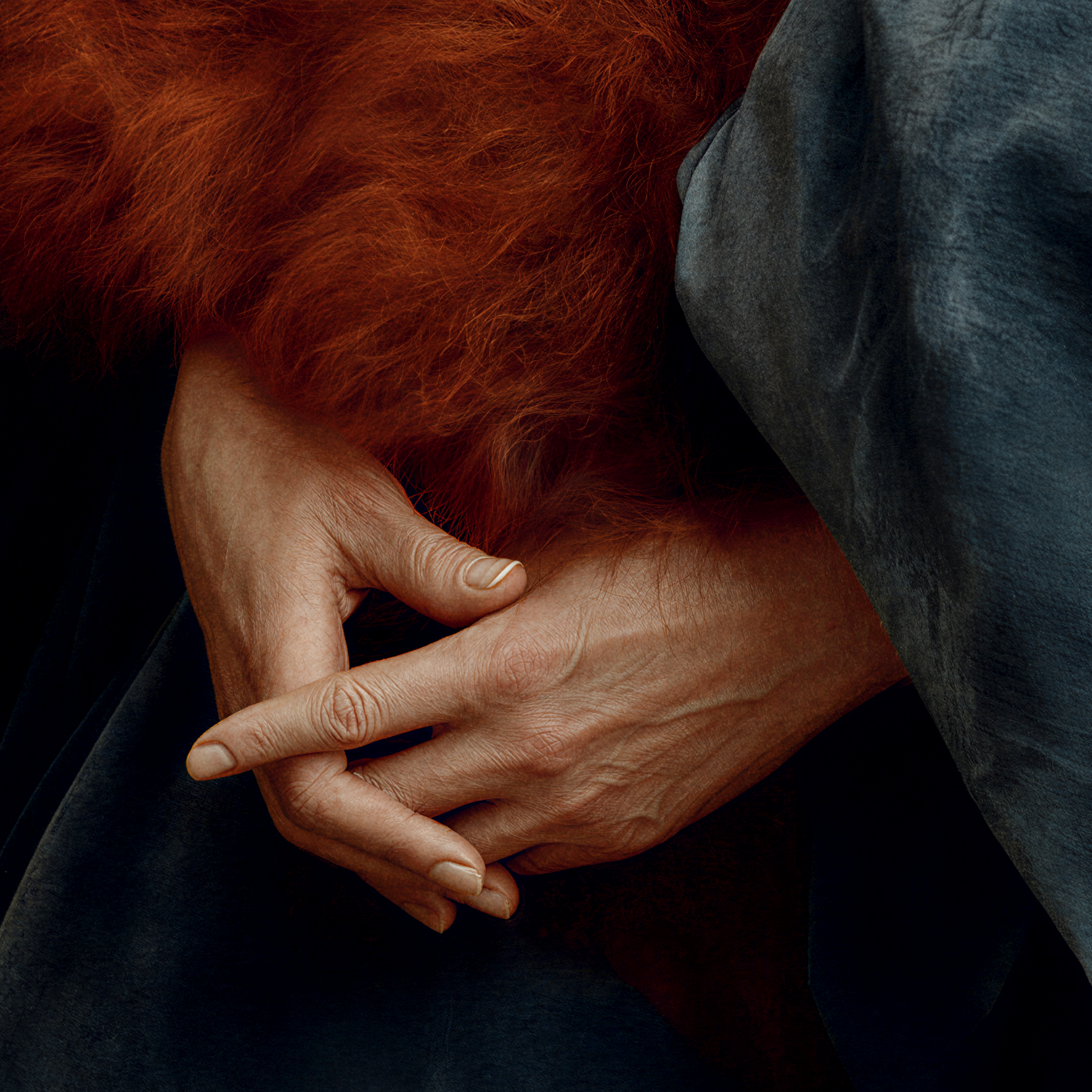 Close-up of Ottilie’s hands resting against rust-colored textured fibers and deep teal fabric in the fine art portrait.