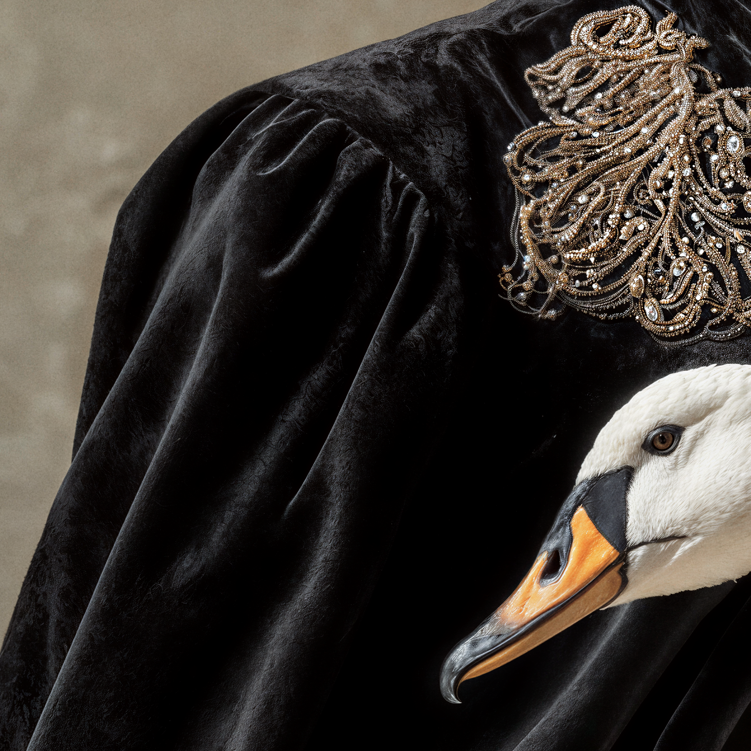 Black velvet and gold embroidered clothing detail from the Vaelora fine art portrait.