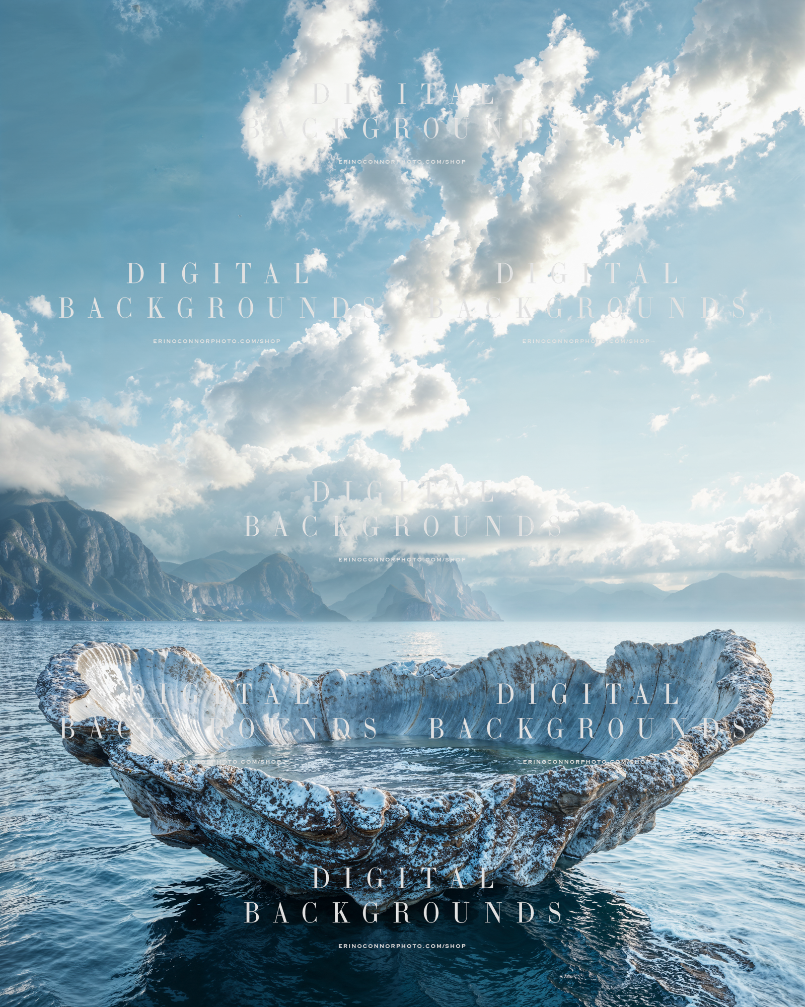 Large weathered seashell digital background in calm water with distant coastal mountains and a bright atmospheric sky.