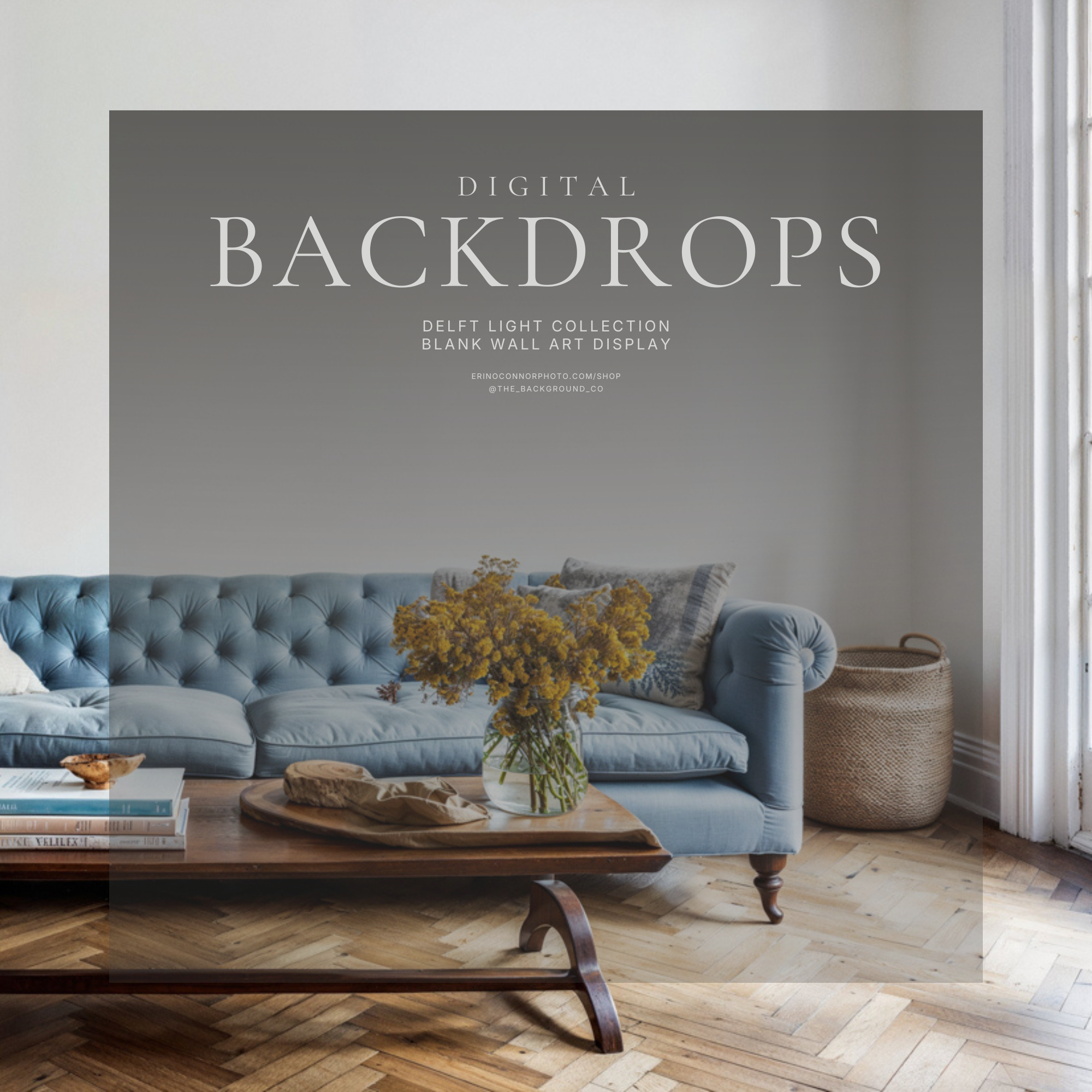 Blank Wall Art Display: Delft Daylight Collection ~ Digital Backgrounds