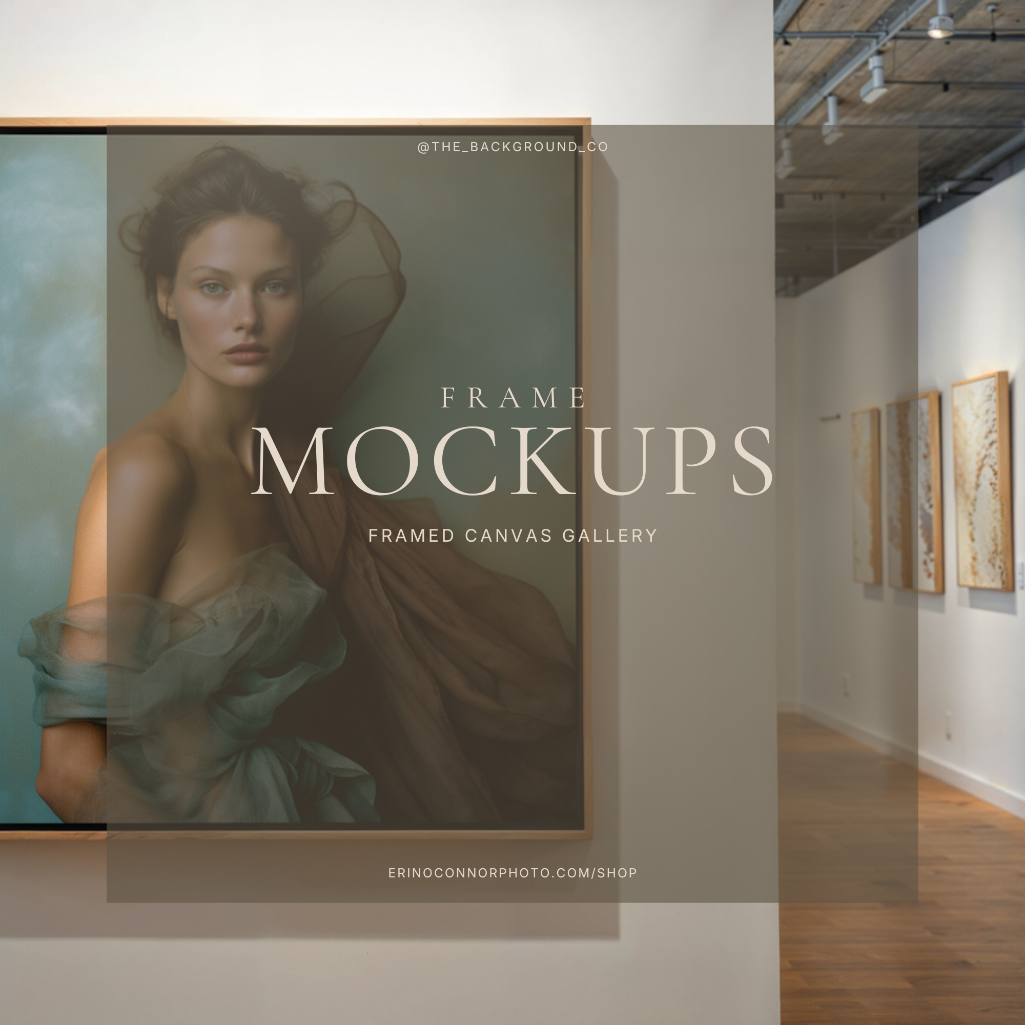 Framed Canvas Art Gallery Wall